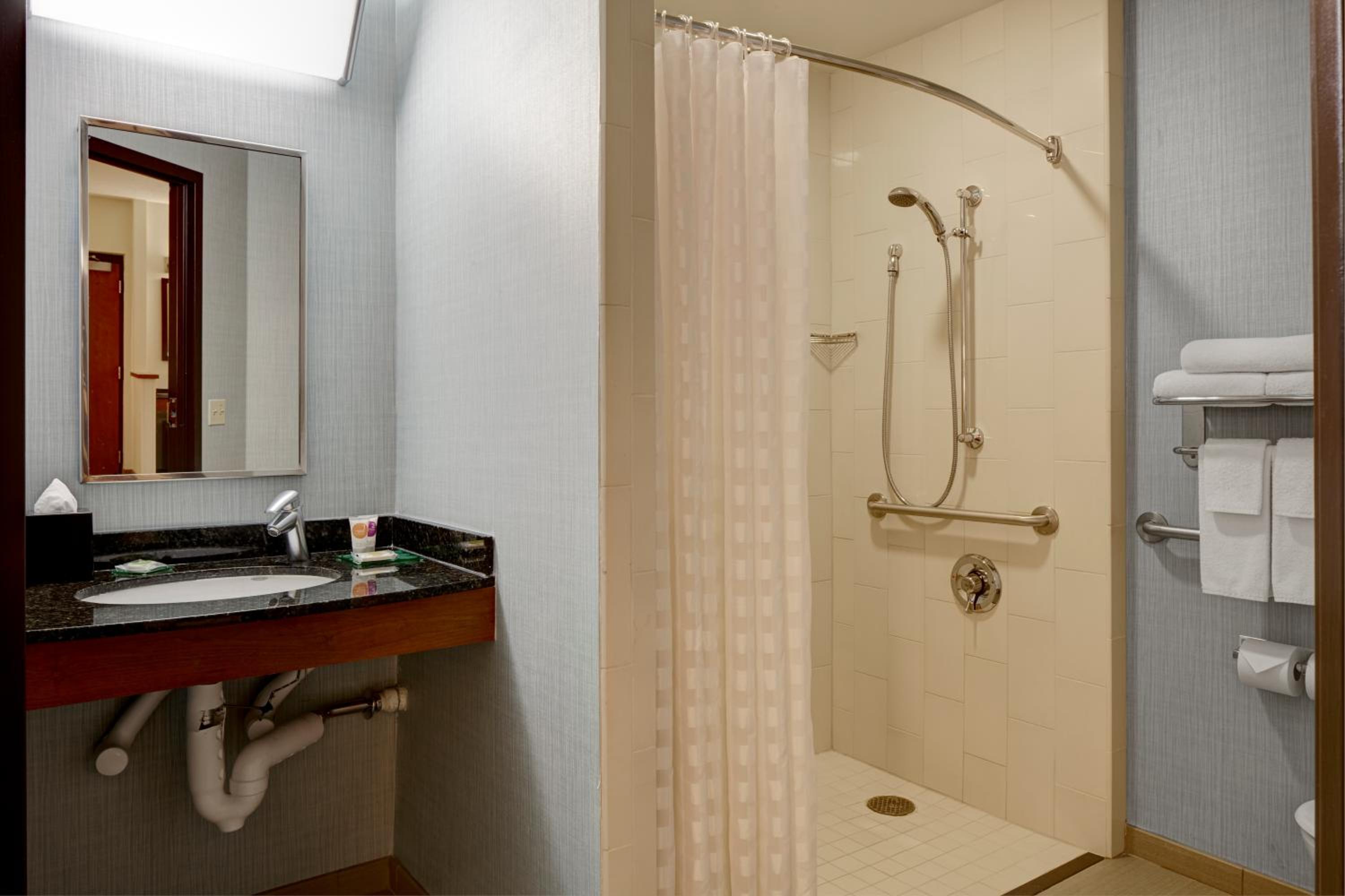 King Room with Sofa Bed and Roll-In Shower - Disability Access