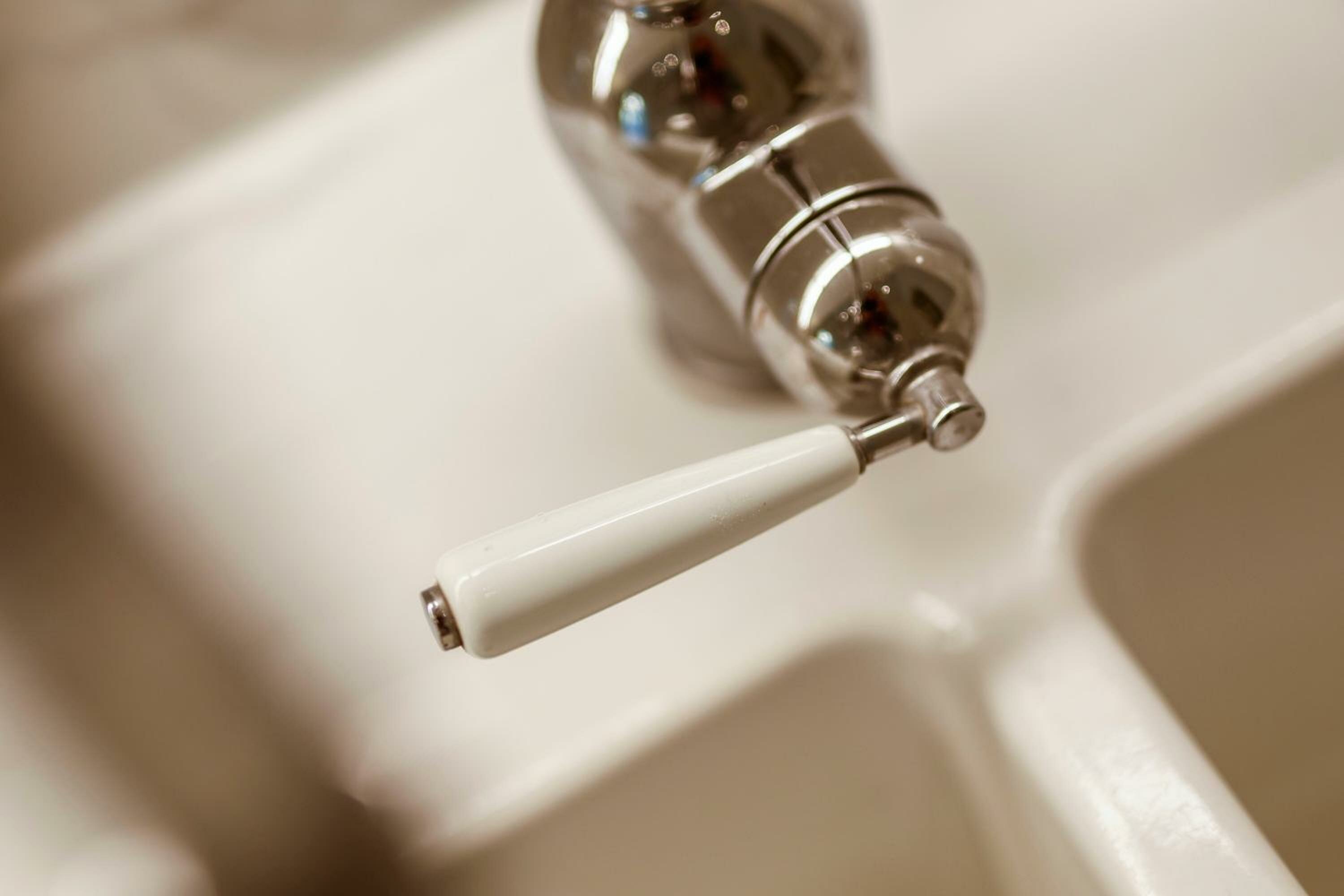 Deluxe Junior Suite with Garden 