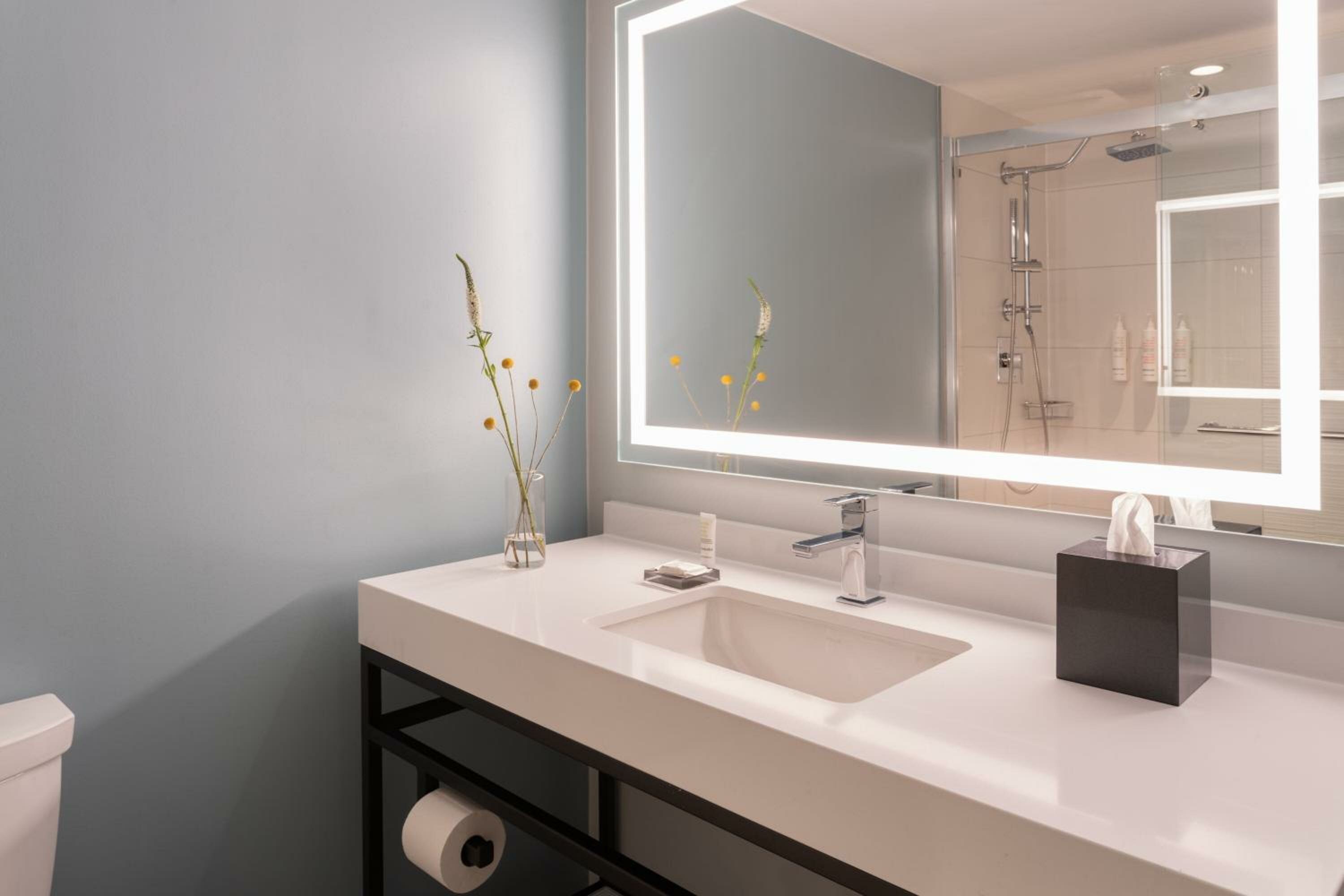 1 Bedroom Junior Suite, 1 King