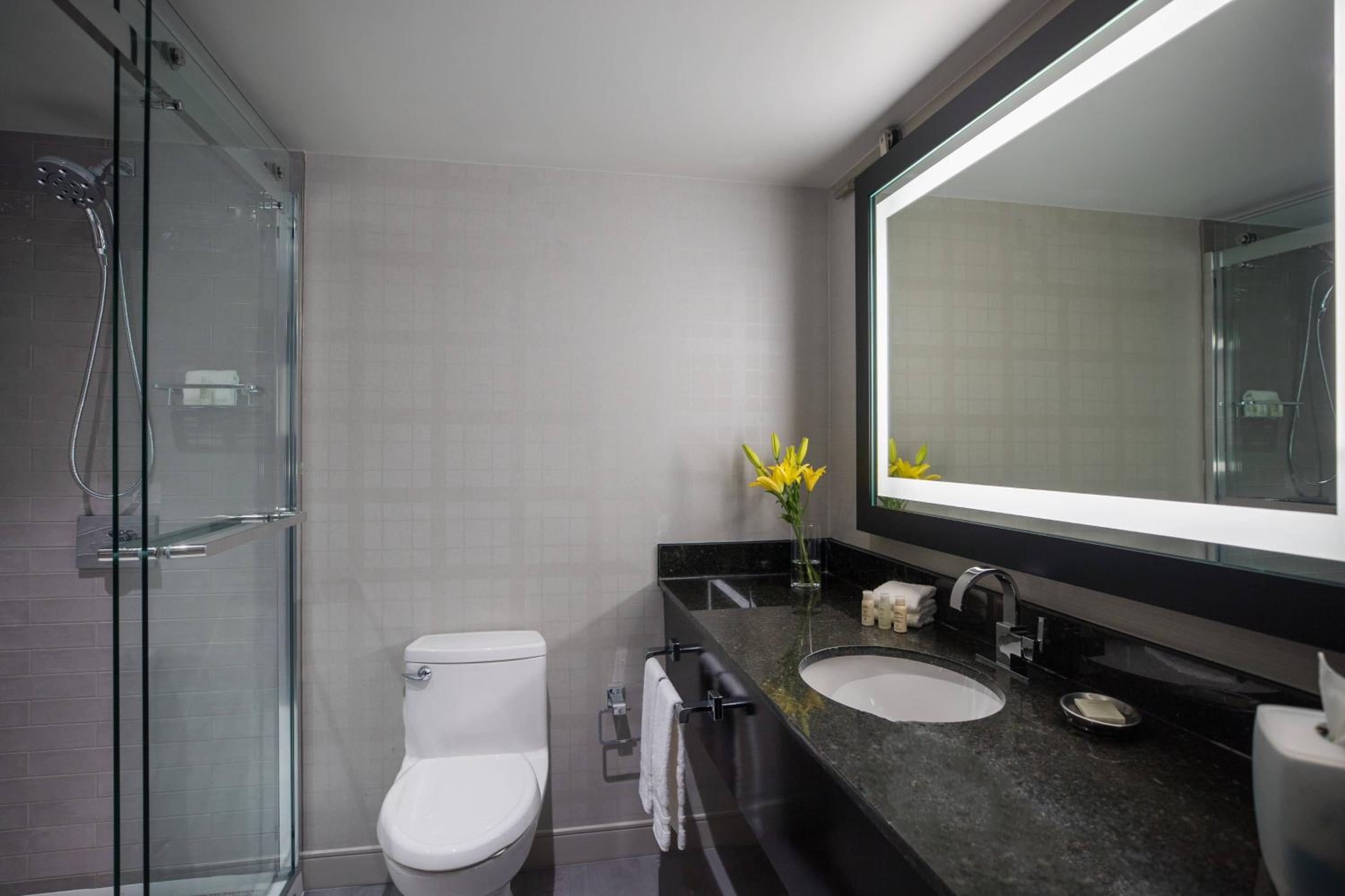 King Suite - Lounge Access