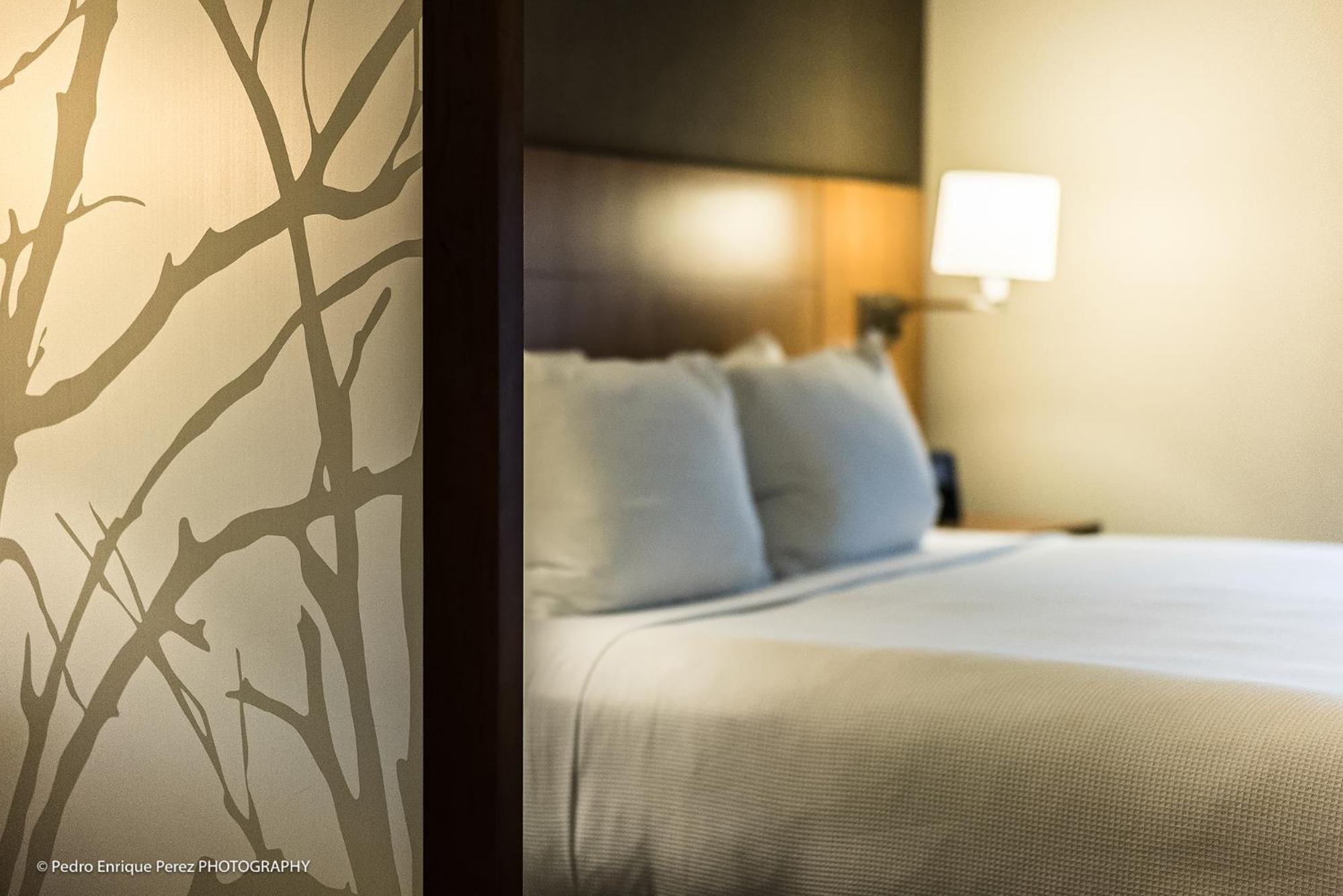 King Room with Sofa Bed