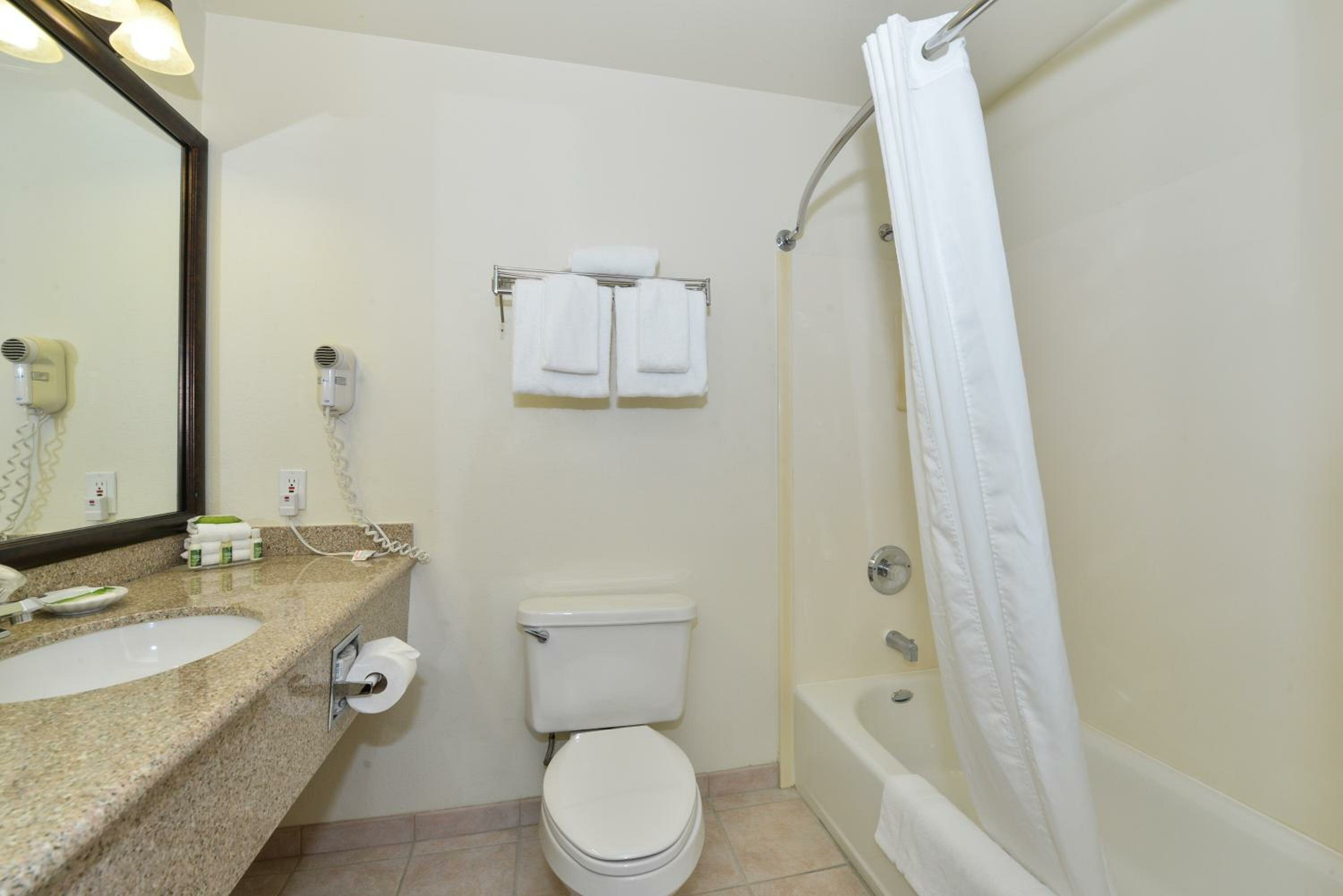 One-Bedroom King Suite with Sofa Bed