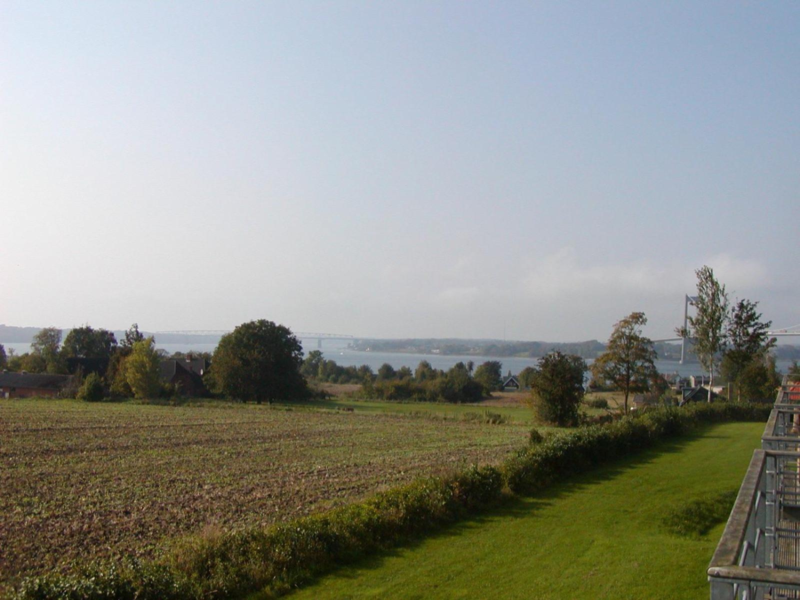 Family Room with View