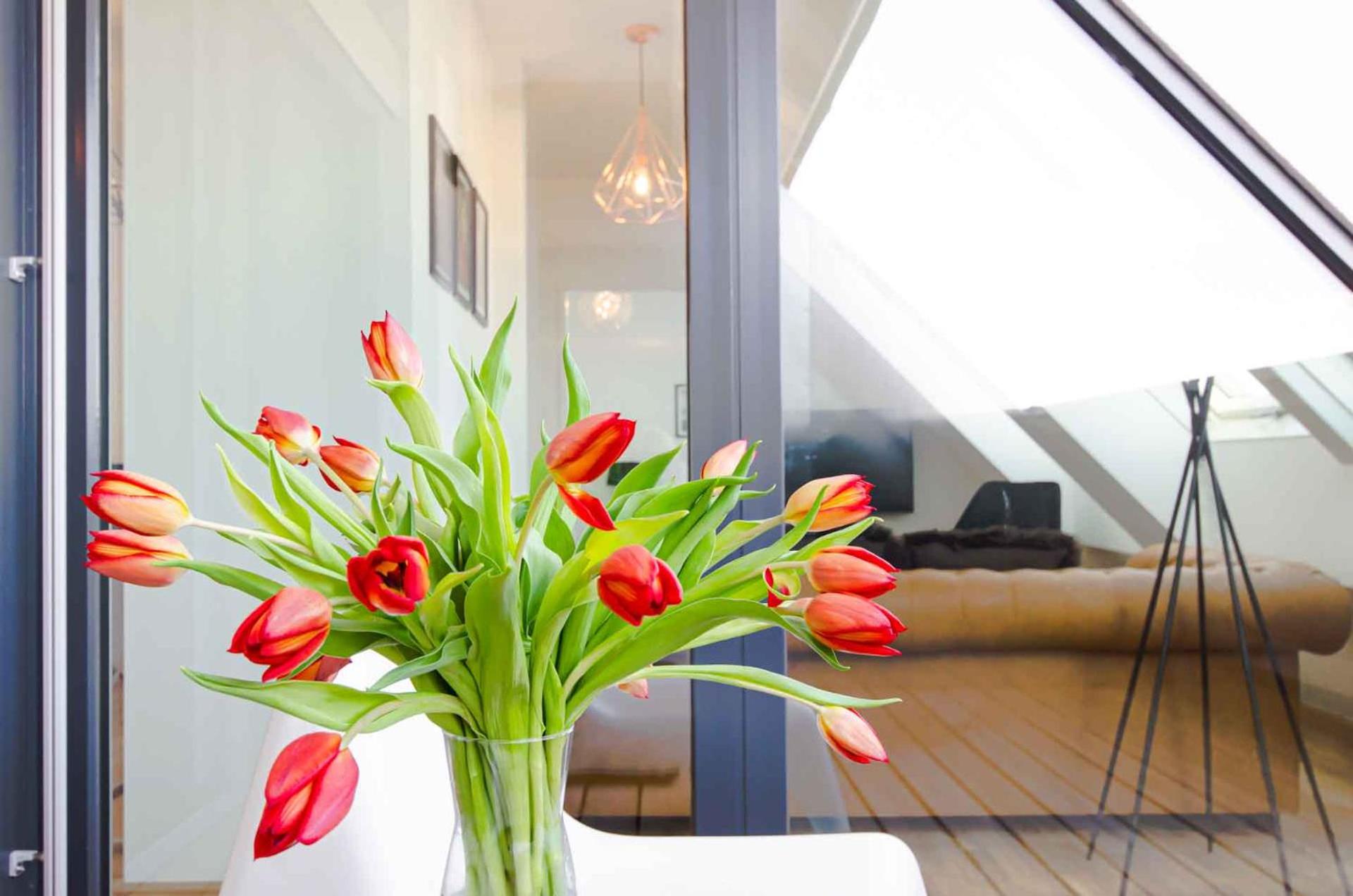 Two-Bedroom Apartment with Terrace