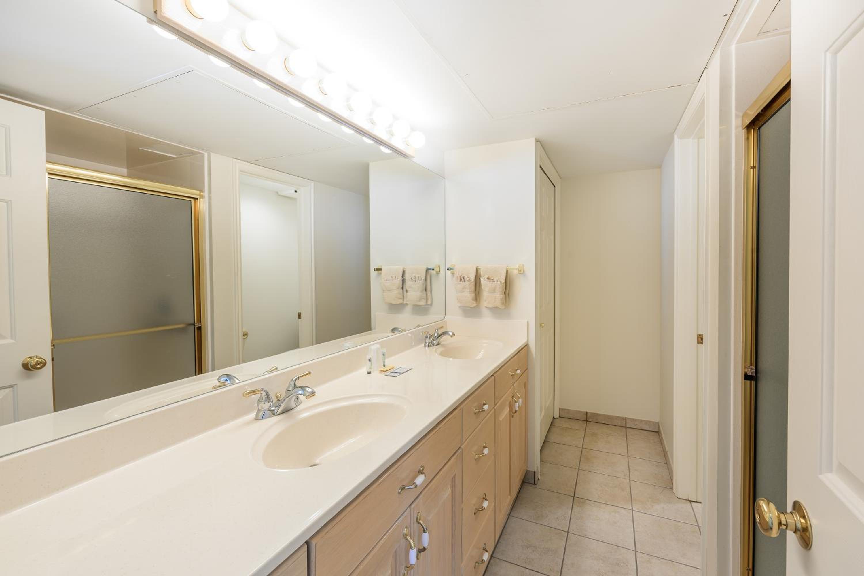 Deluxe One-Bedroom Apartment