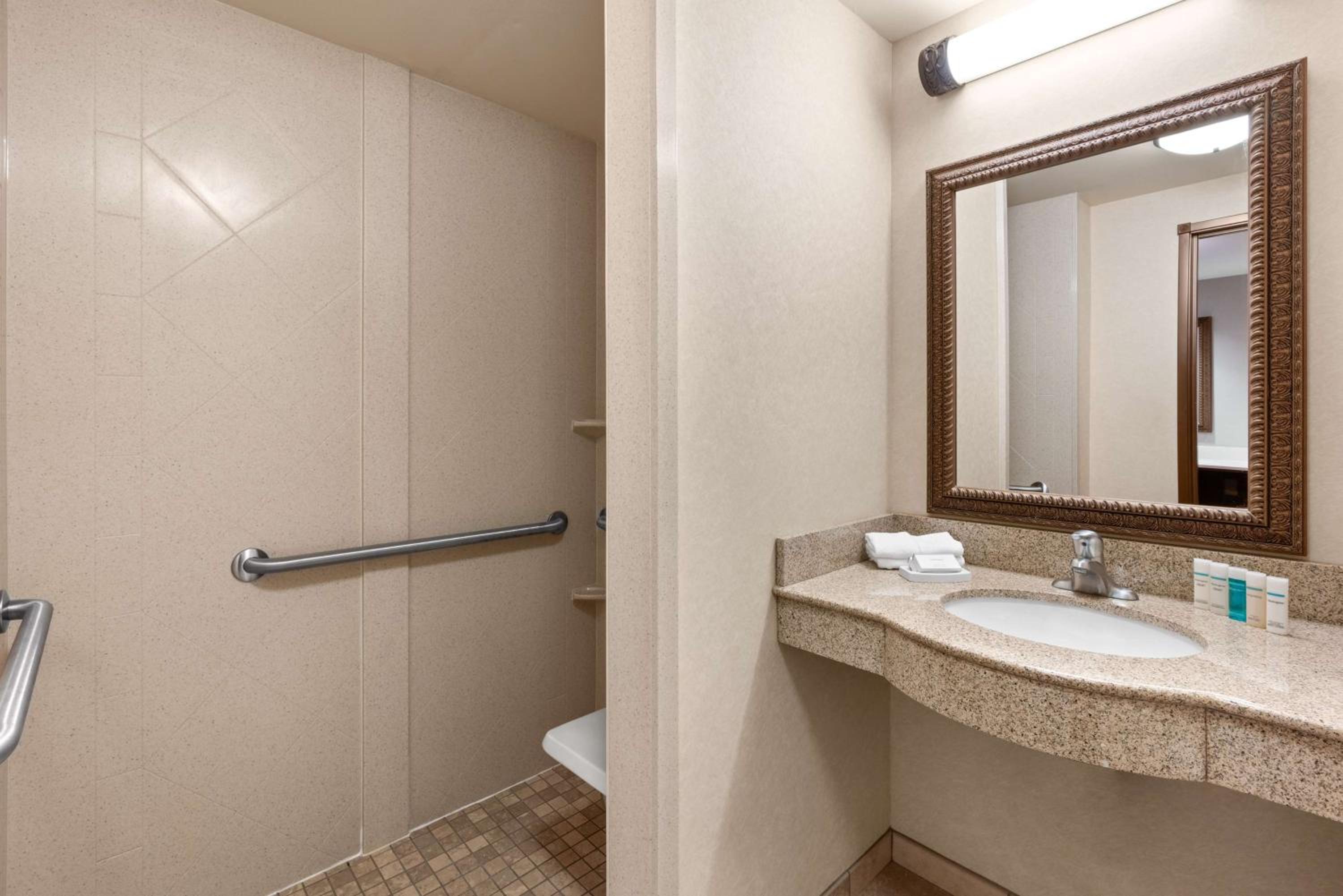 Non-Smoking King Studio Suite with Sofa Bed
