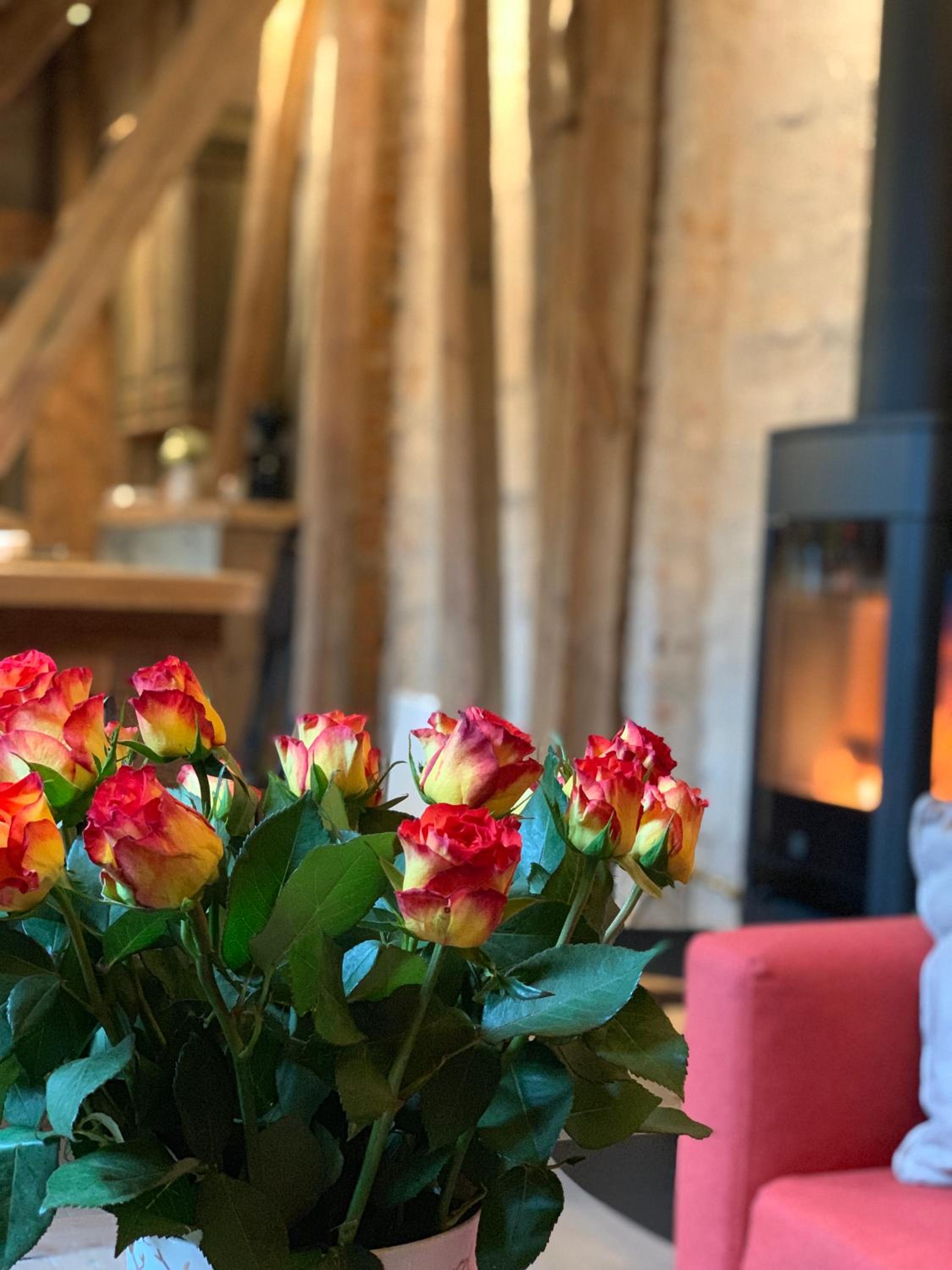 Two-Bedroom Suite in Detached building