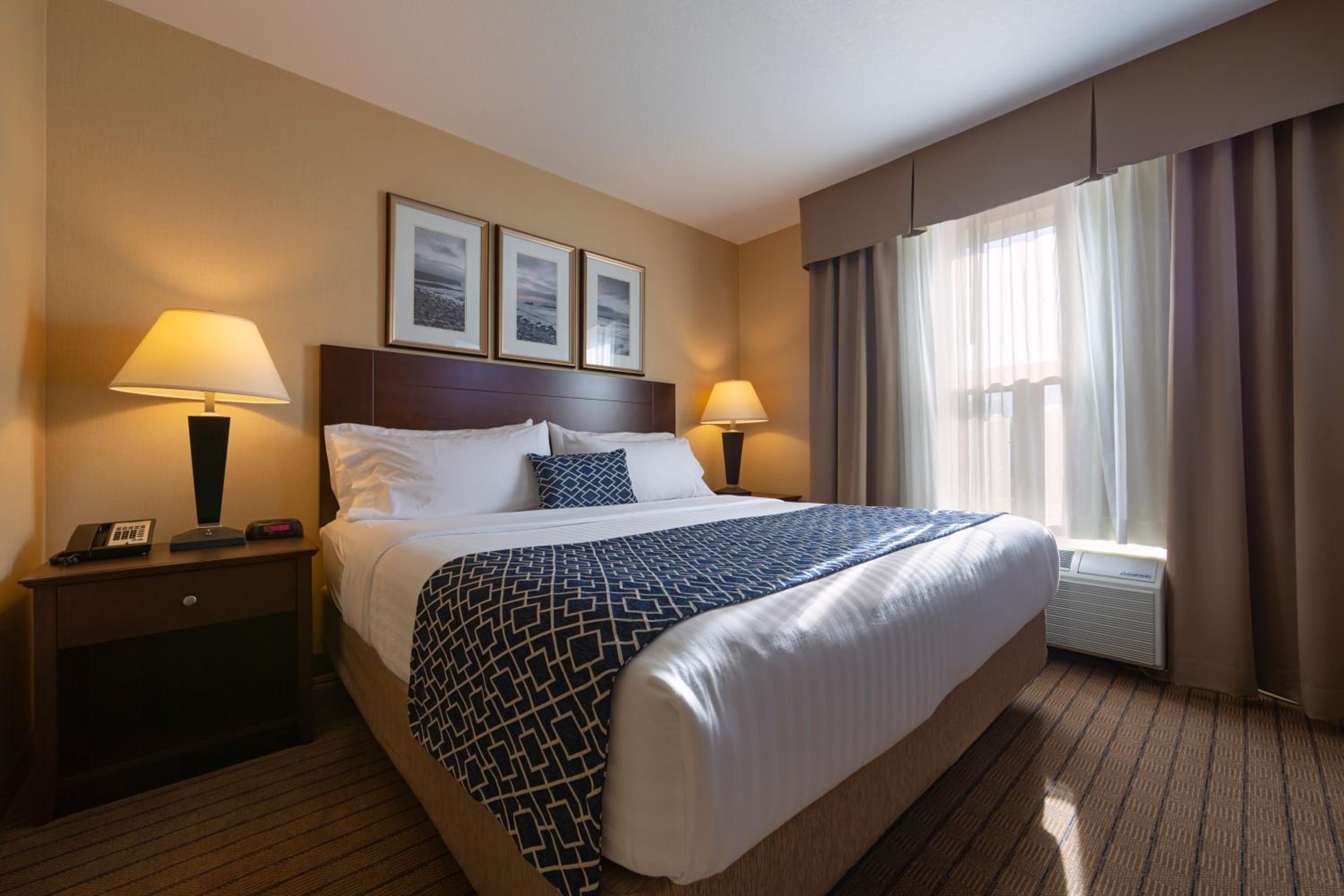 Executive King Suite