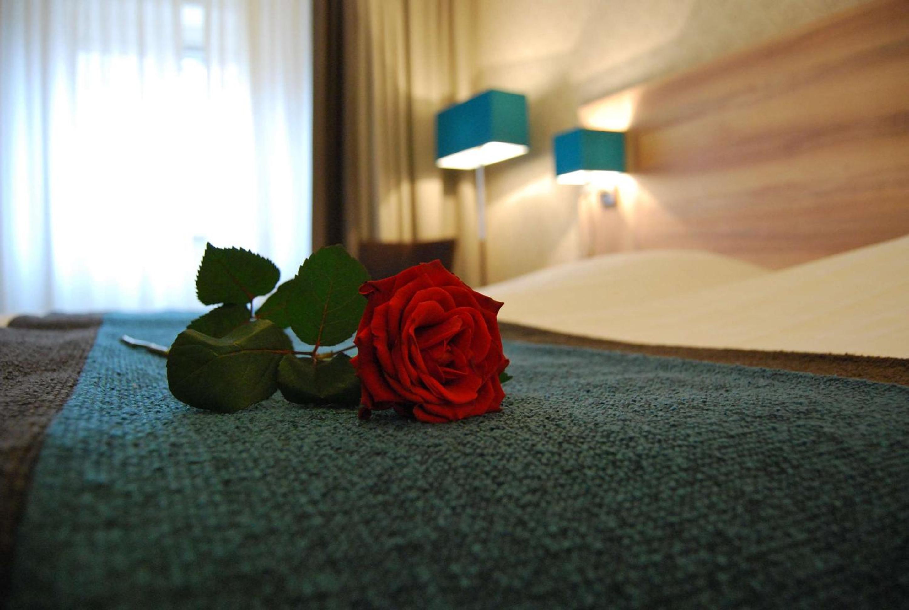 Junior Suite with Double Bed