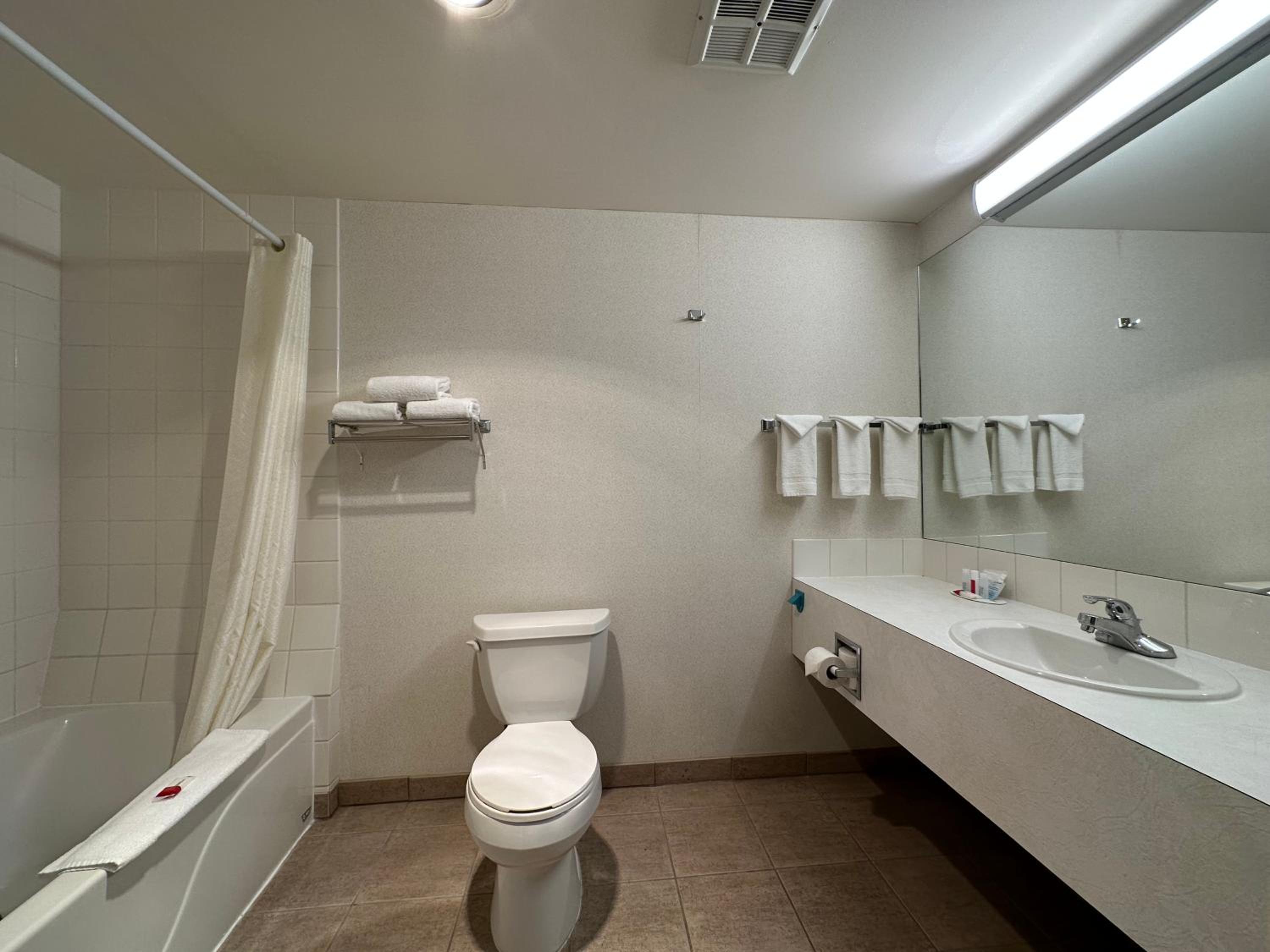 One Bedroom Suite with 1 King Bed Non-Smoking