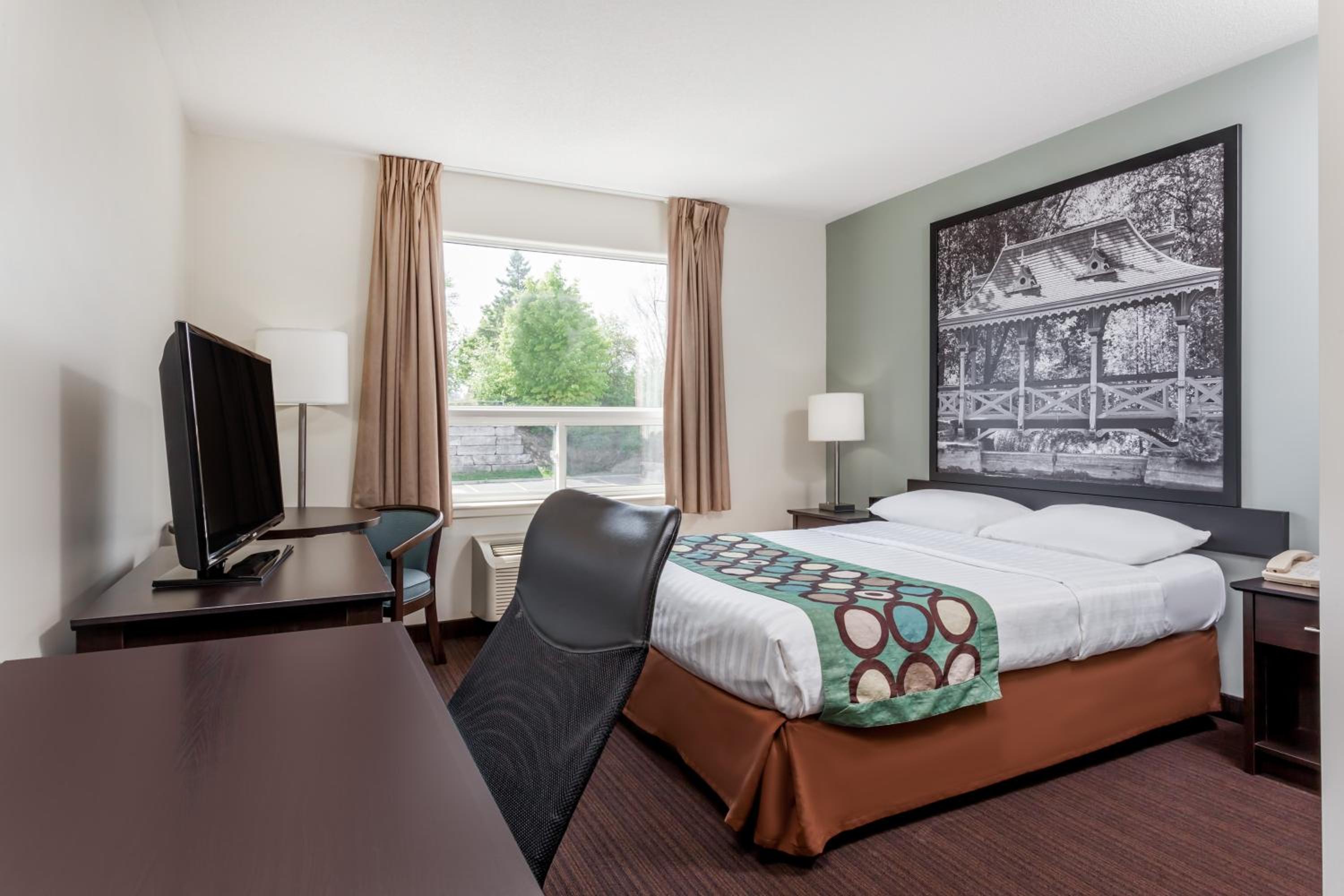 Queen Suite with Bunk Bed - Non-Smoking