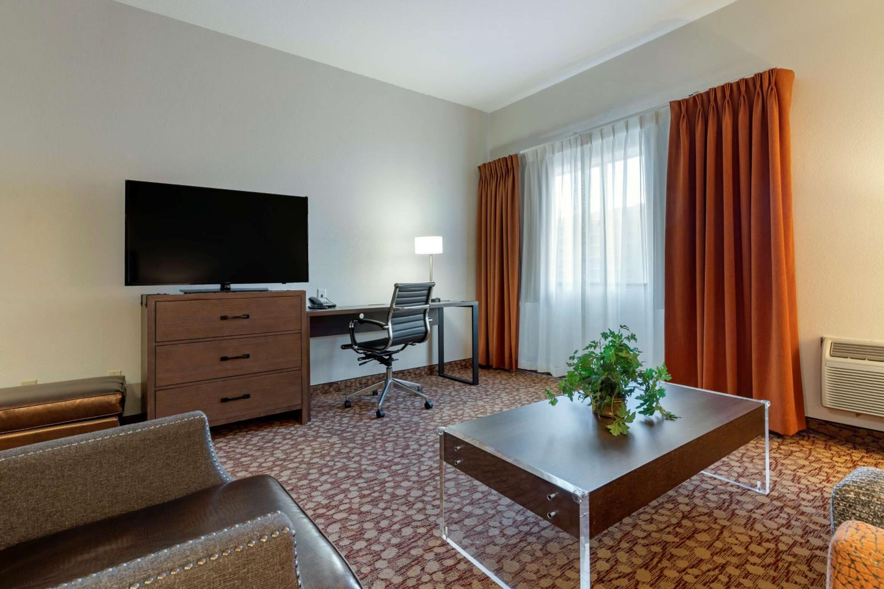 Queen Suite with Sofa Bed - Non-Smoking