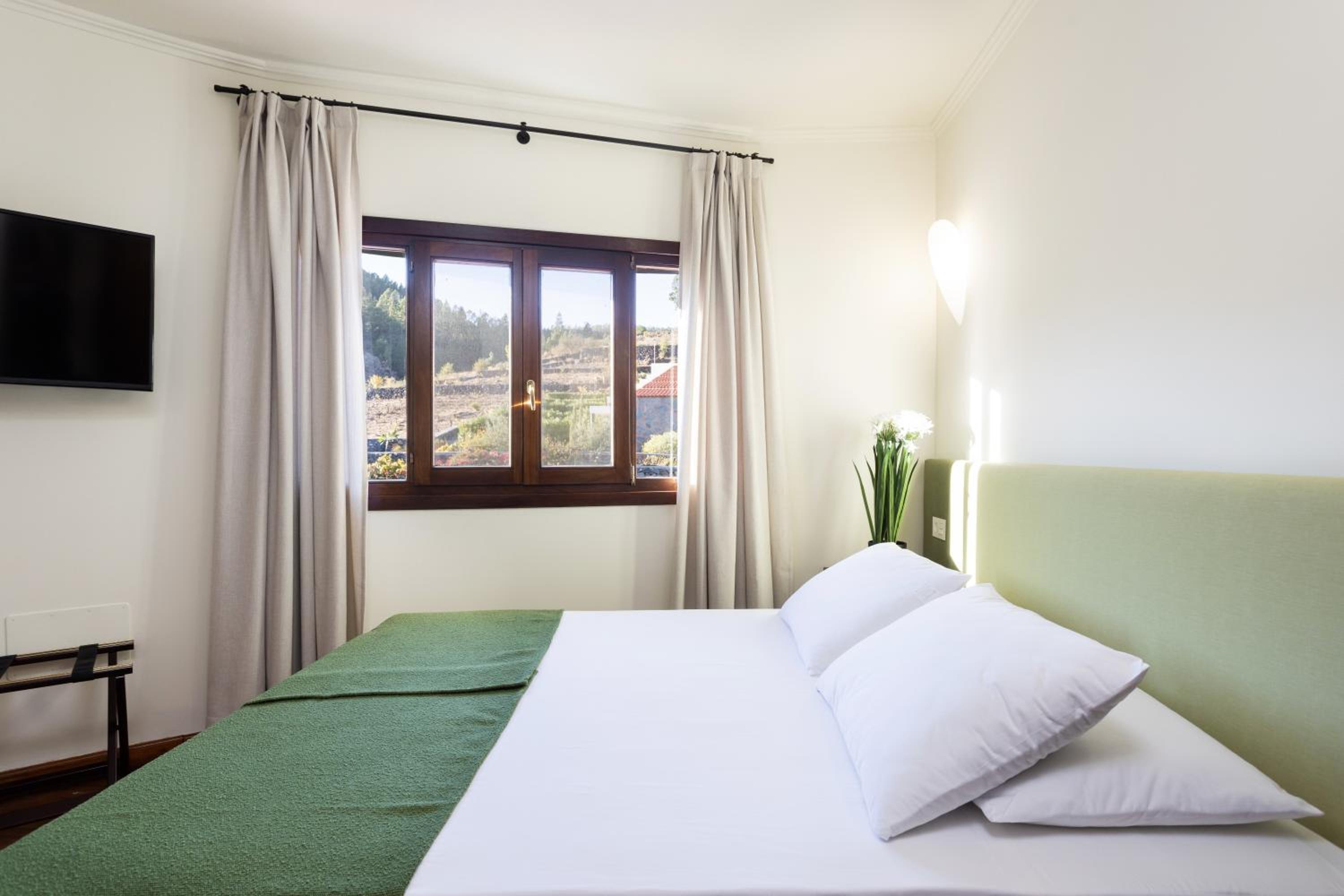 Suite with Ocean View