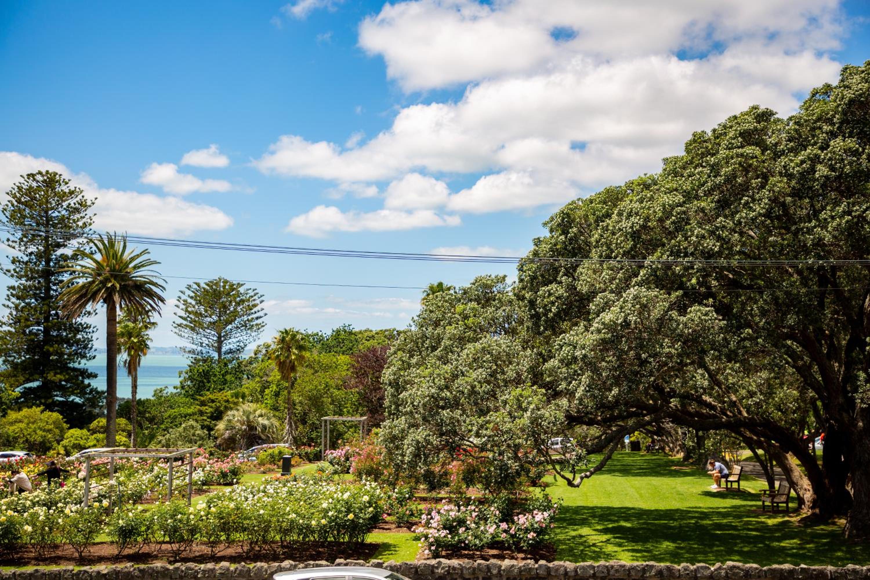 Premium King with Lounge