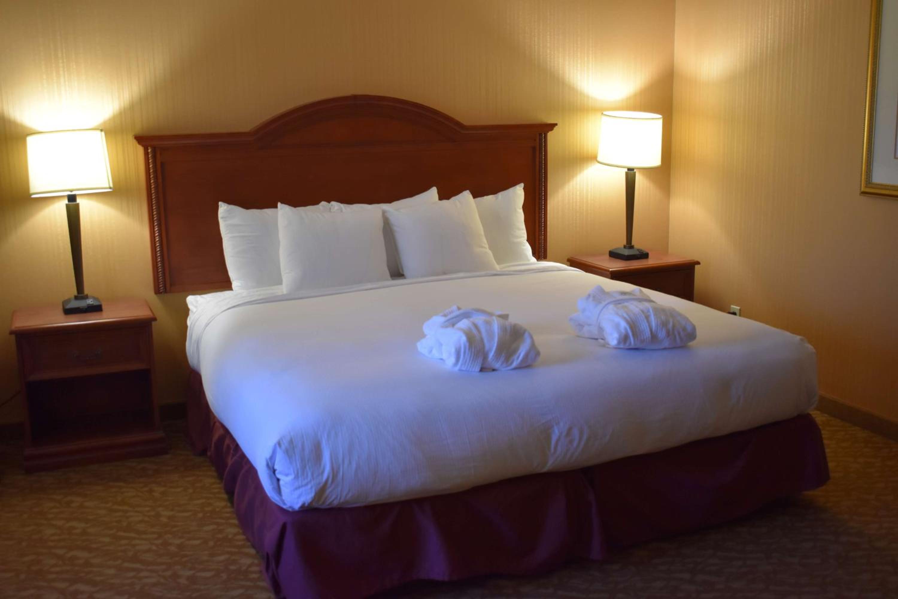 King Suite with Sofa Bed - Non-Smoking