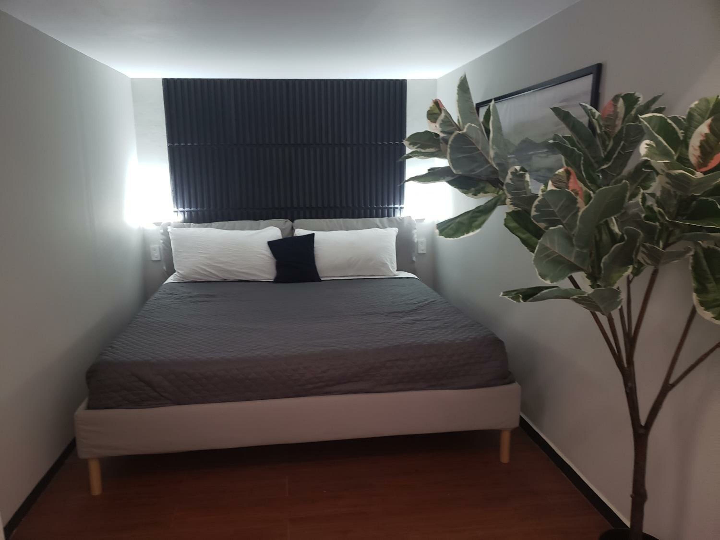 Superior King Suite