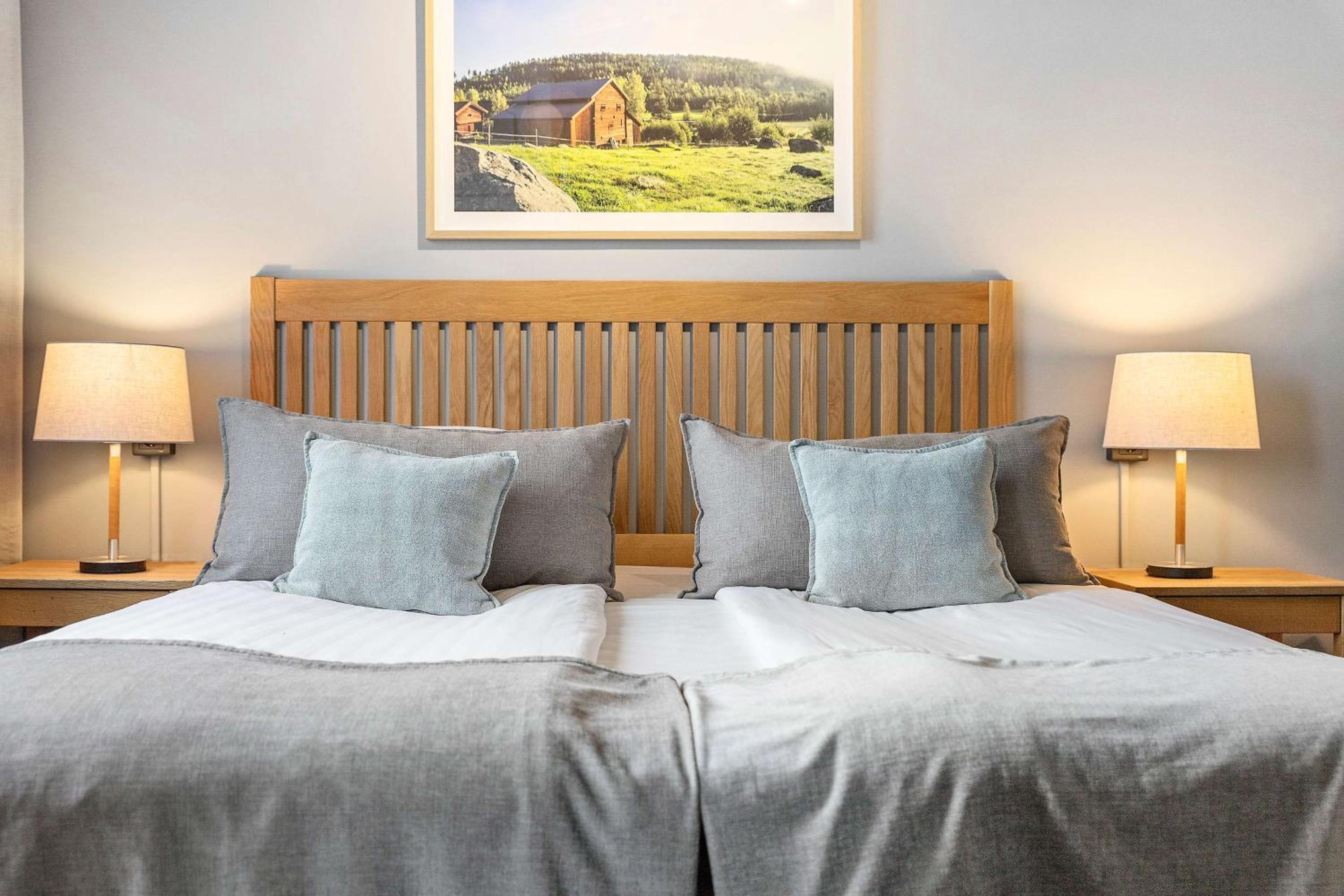 One-Bedroom King Suite