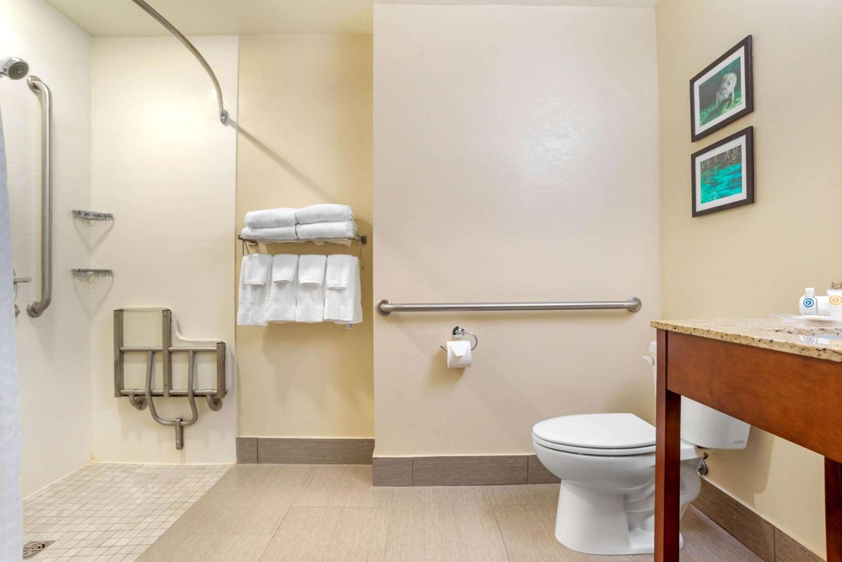 King Suite - Accessible/Non-Smoking