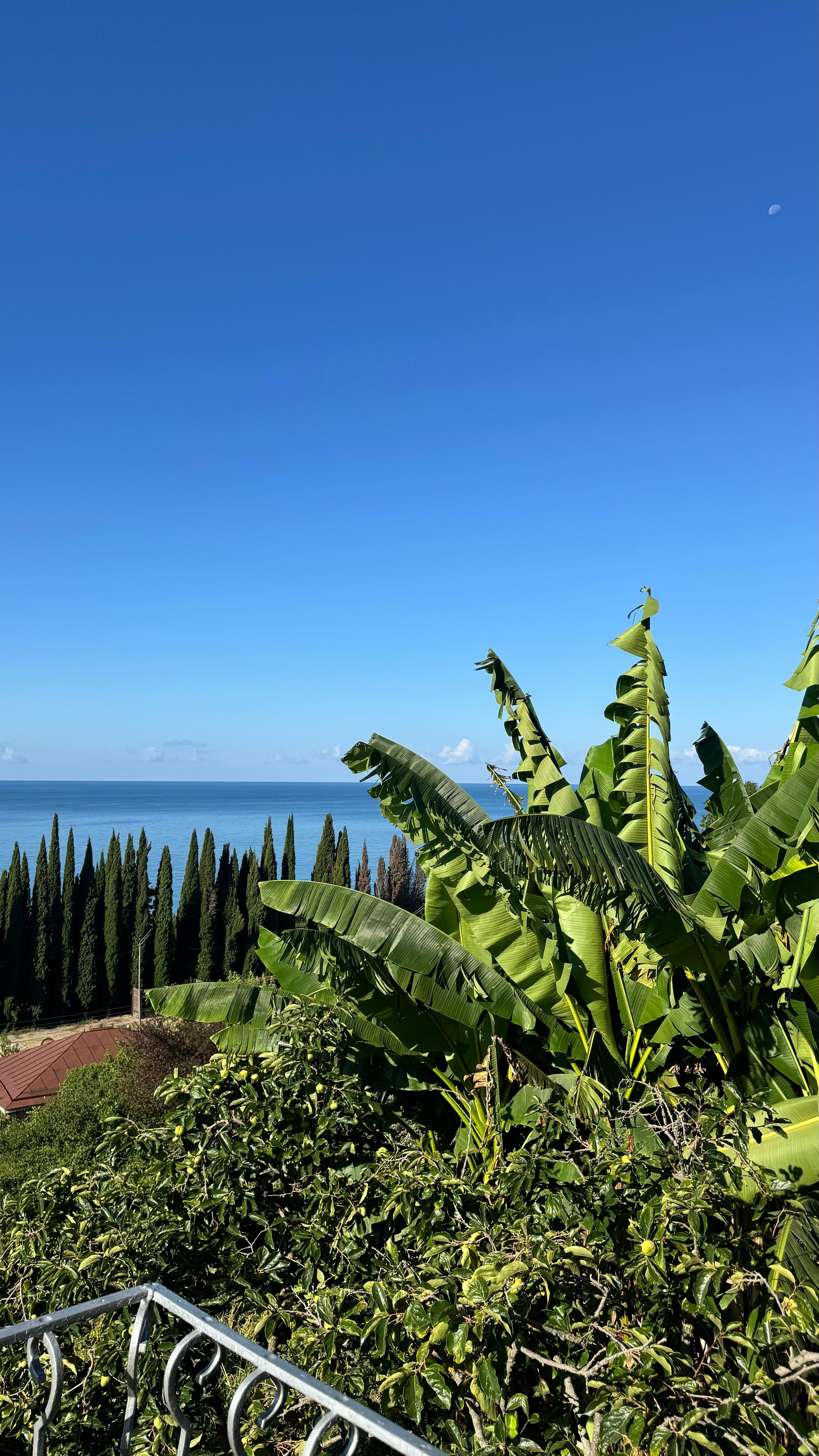 Бюджетный двухместный номер с 2 отдельными кроватями