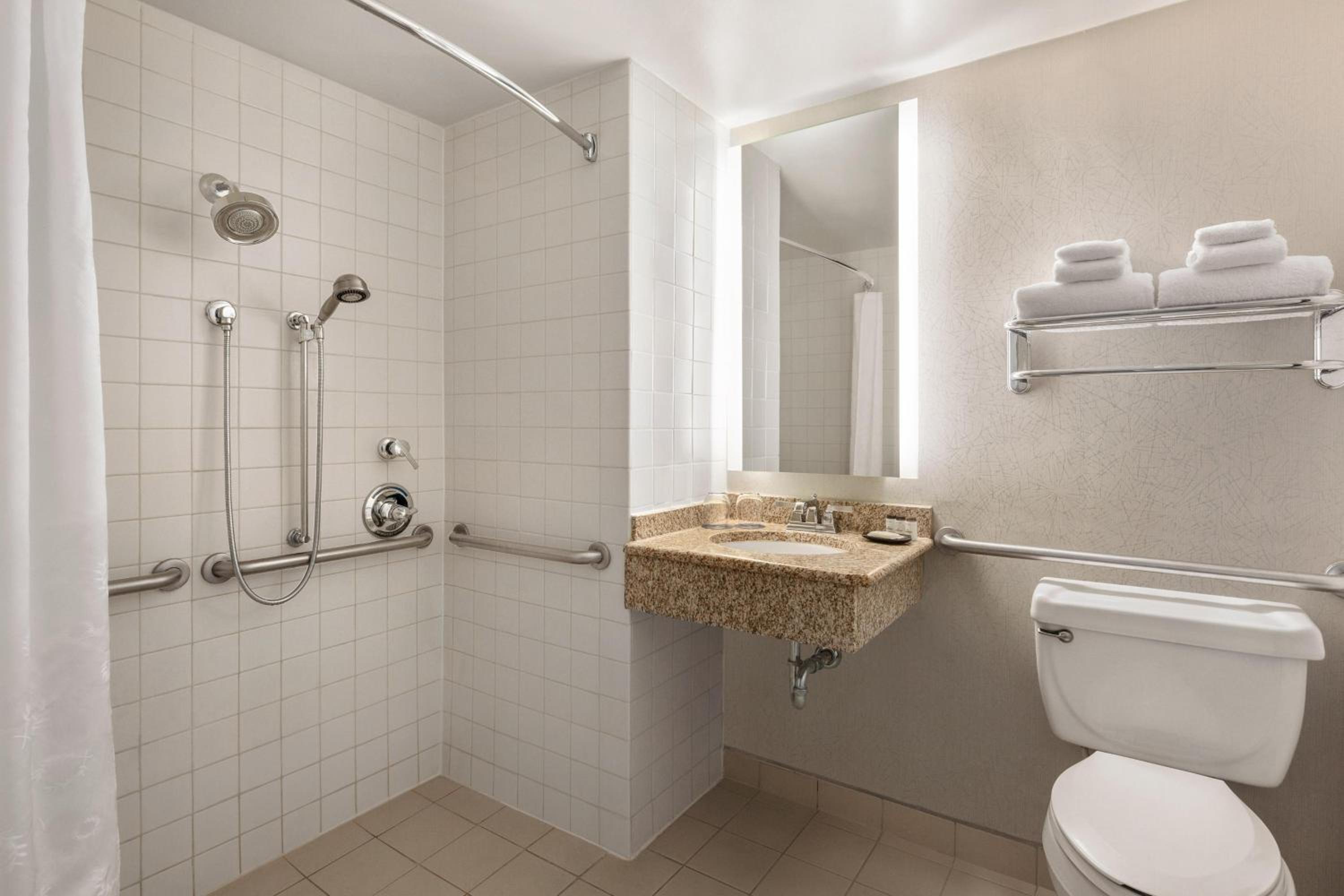 Traditional, Guest room, 1 King