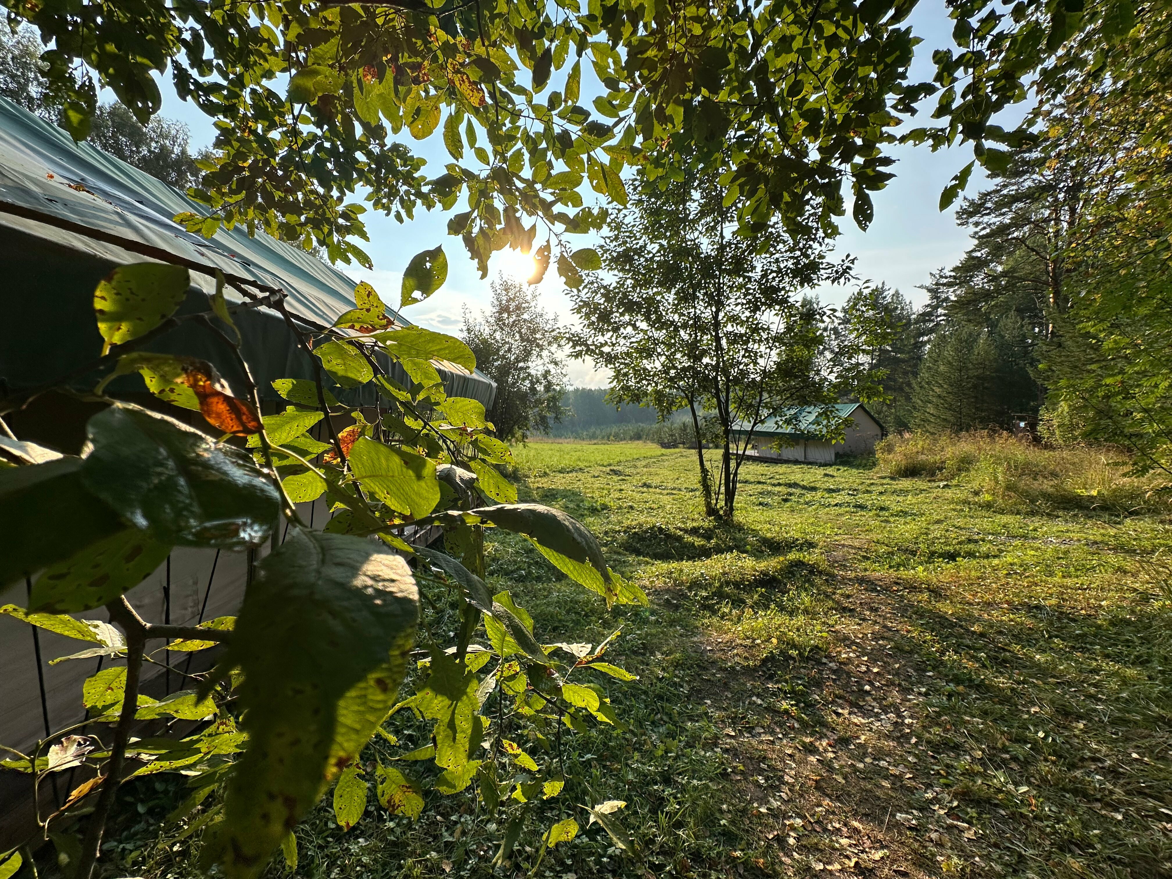 Сафари тент