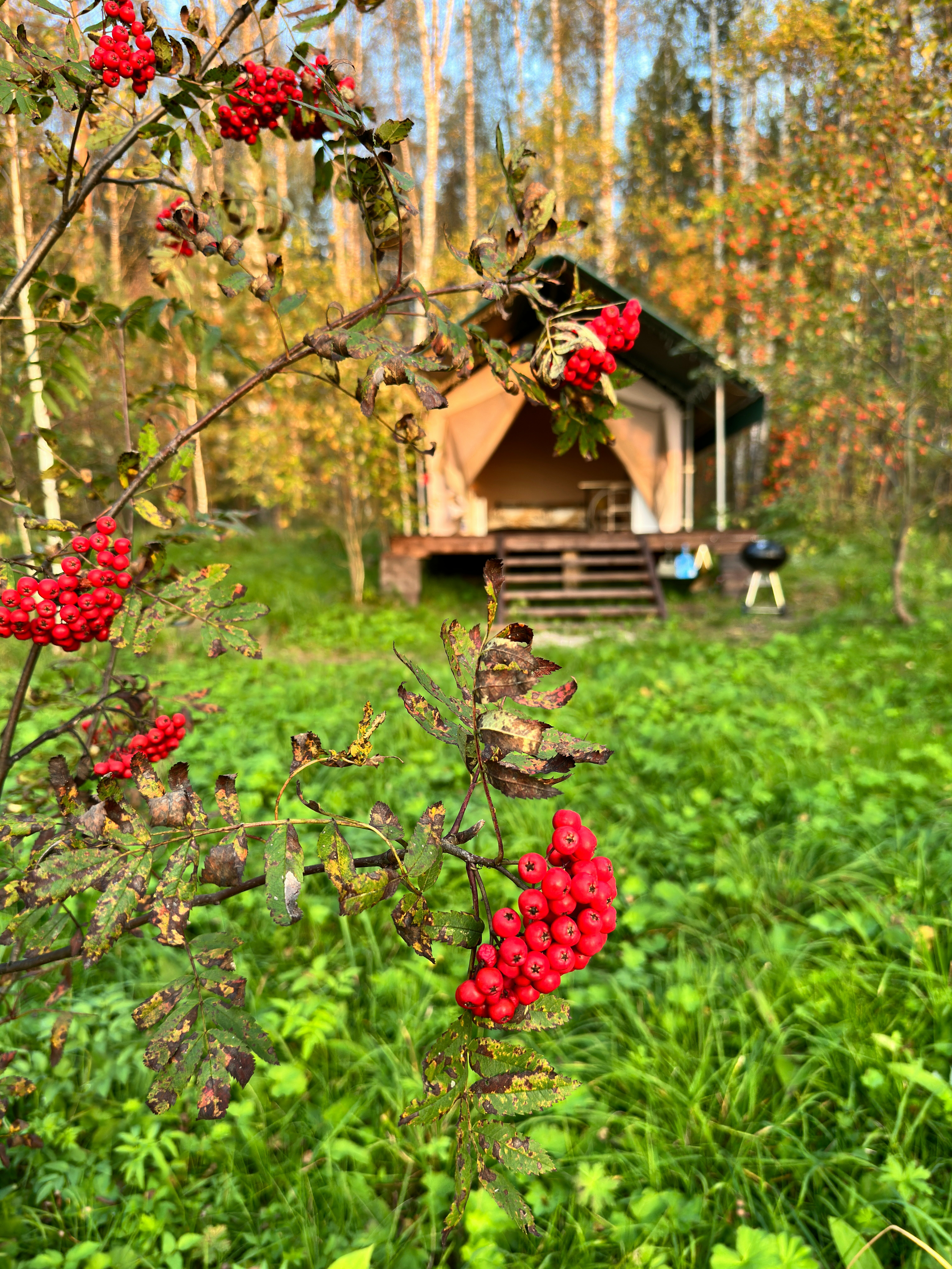 Сафари тент