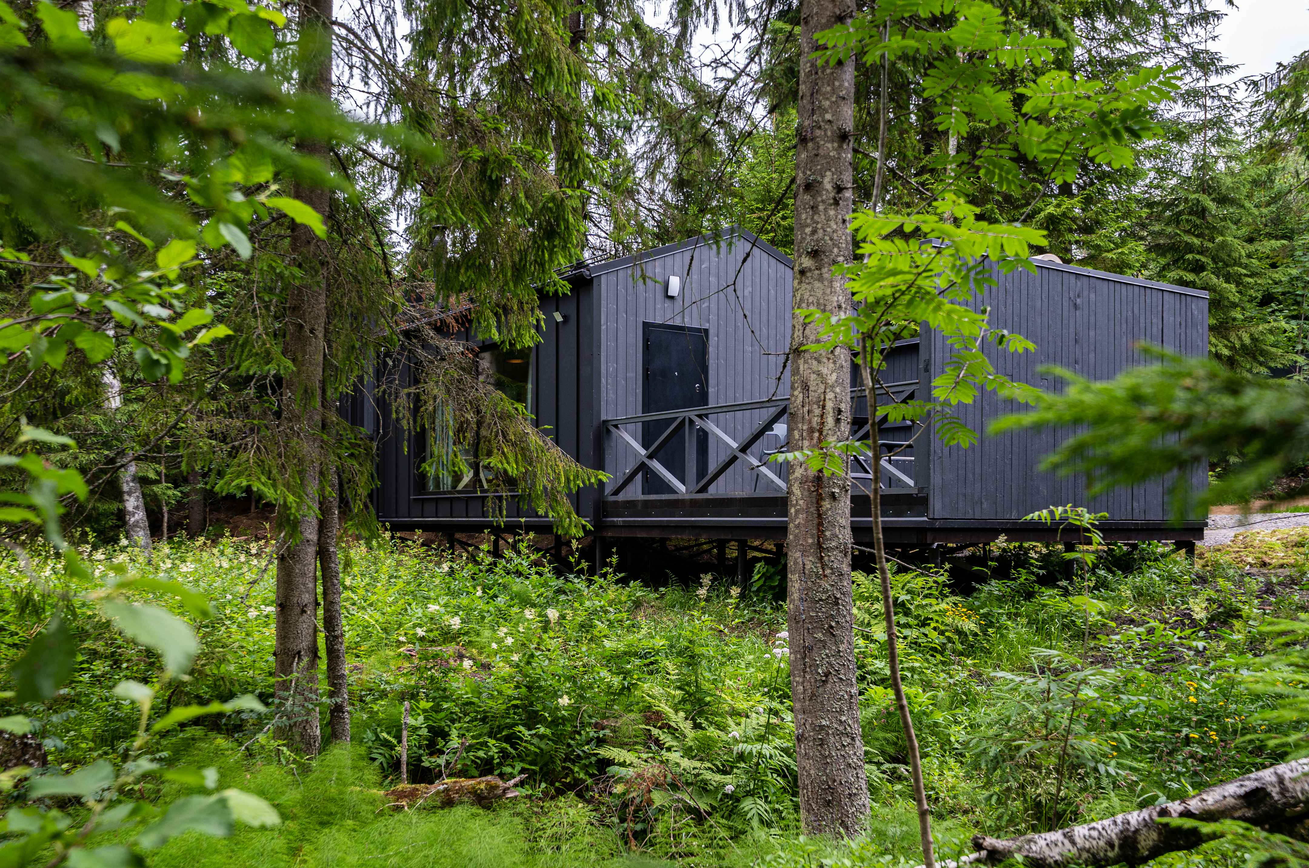 Коттедж №12 Заезд: 15:00 Выезд: 13:00