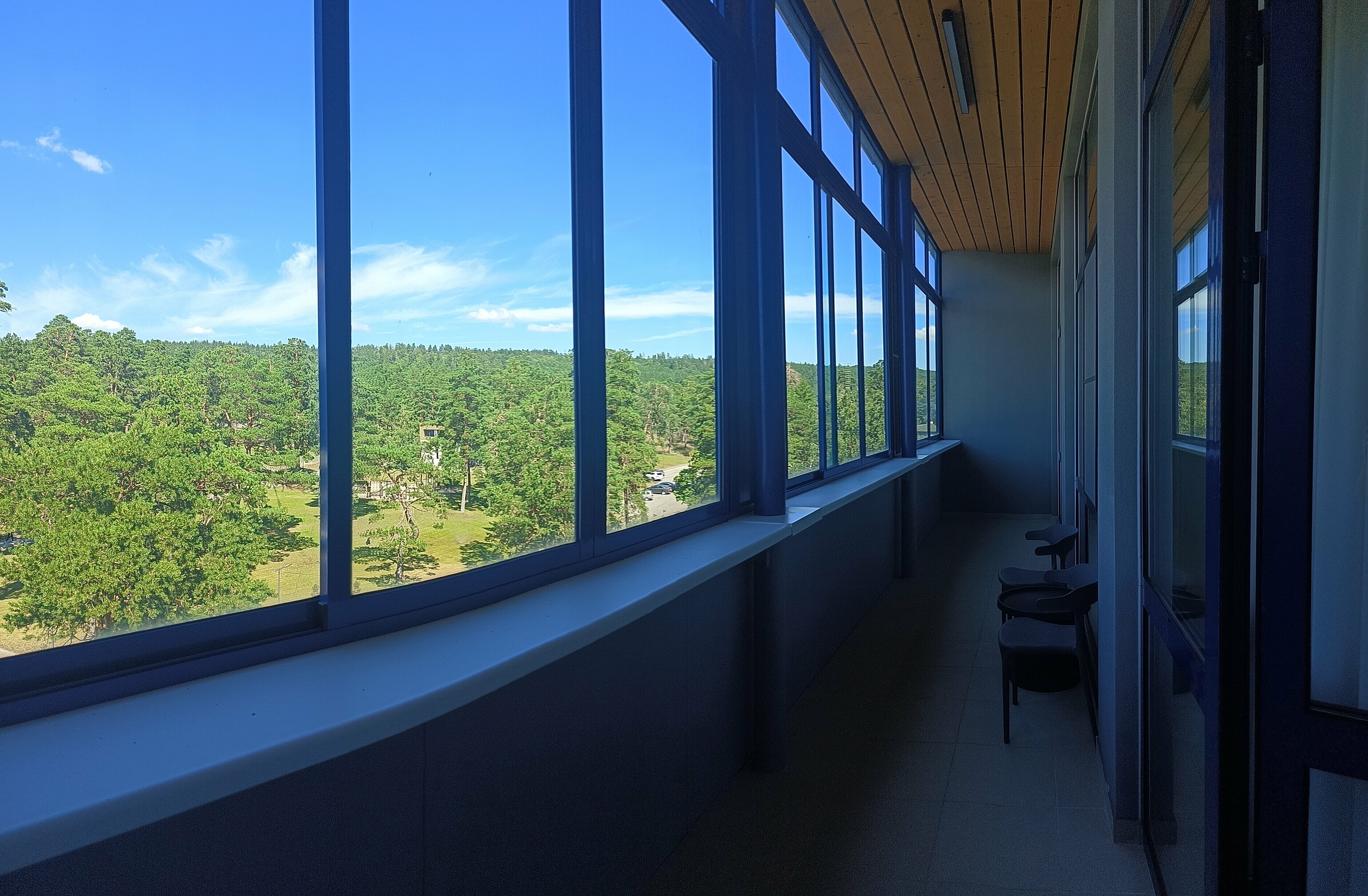 Джуниор сюит с видом на лес