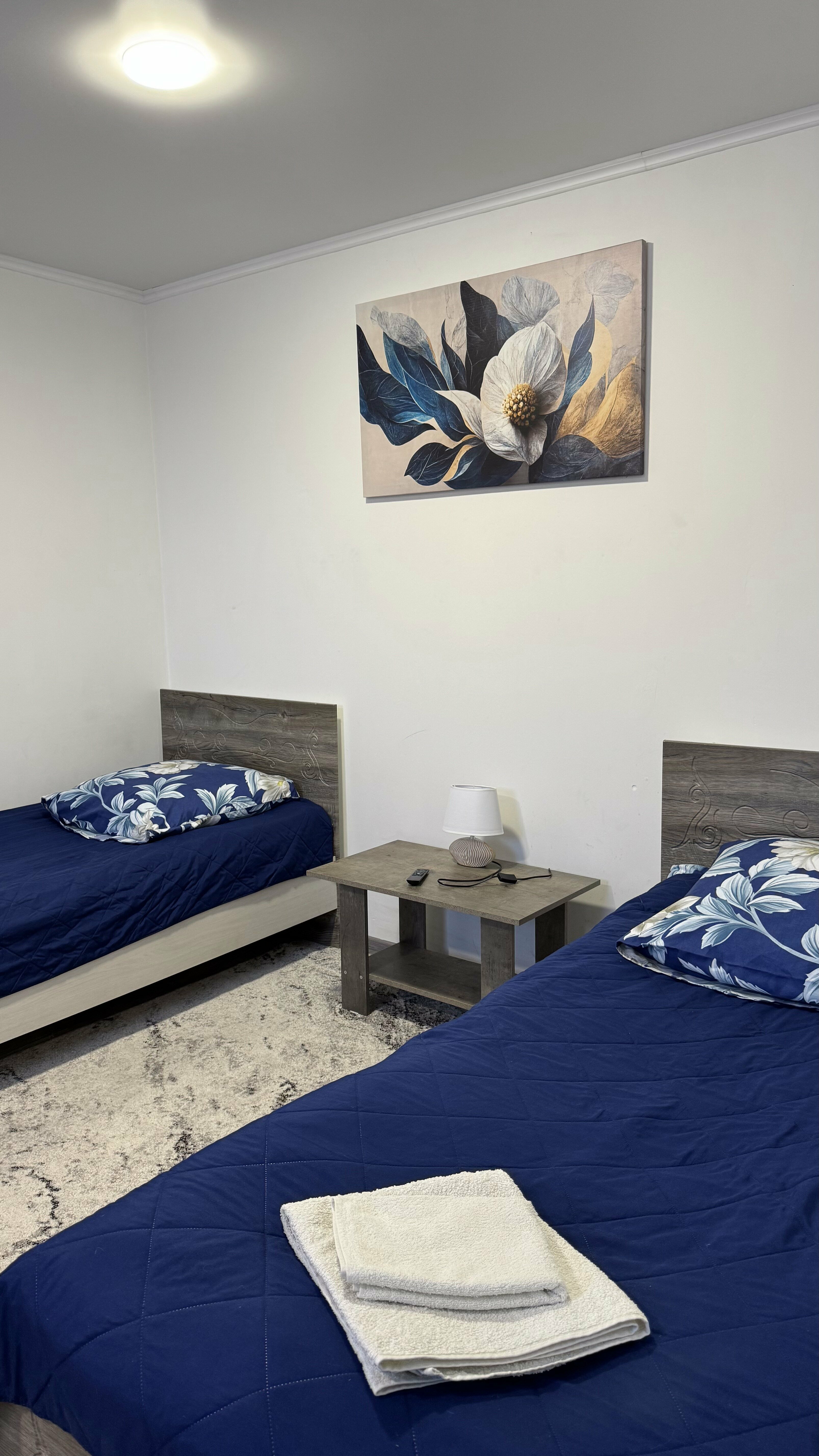 Бюджетный двухместный номер с 2 отдельными кроватями