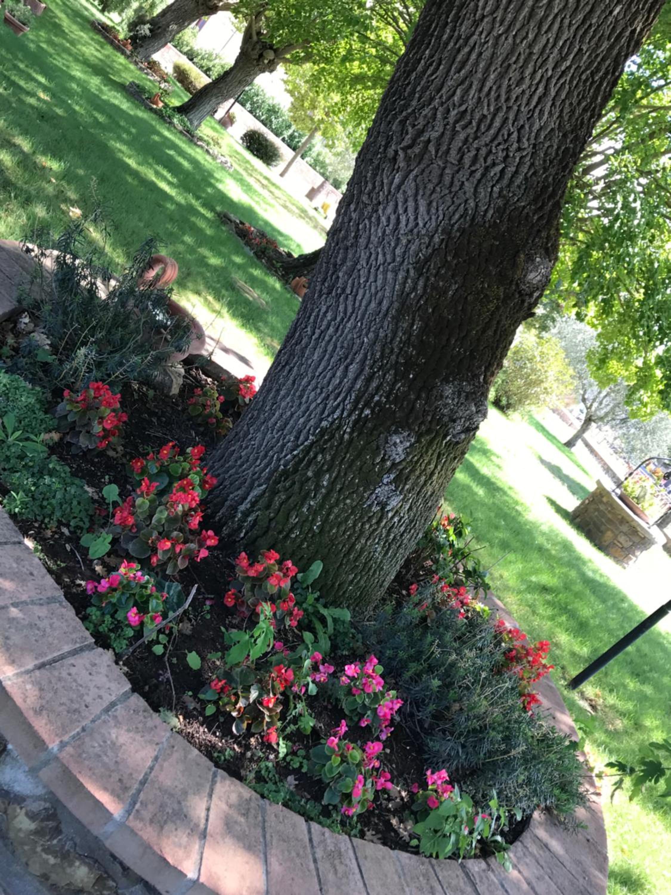 Family Apartment - Split Level