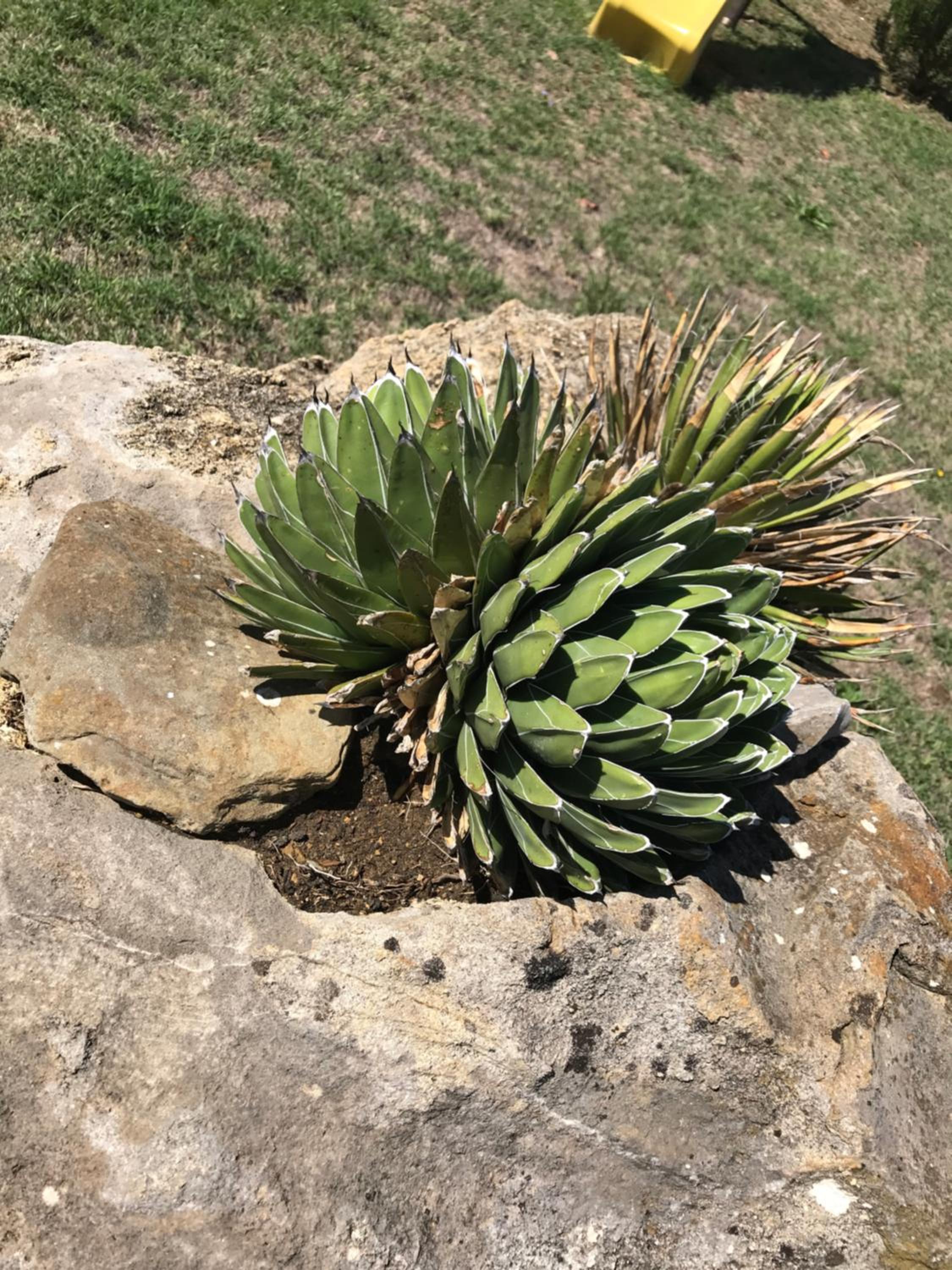 Family Apartment - Split Level