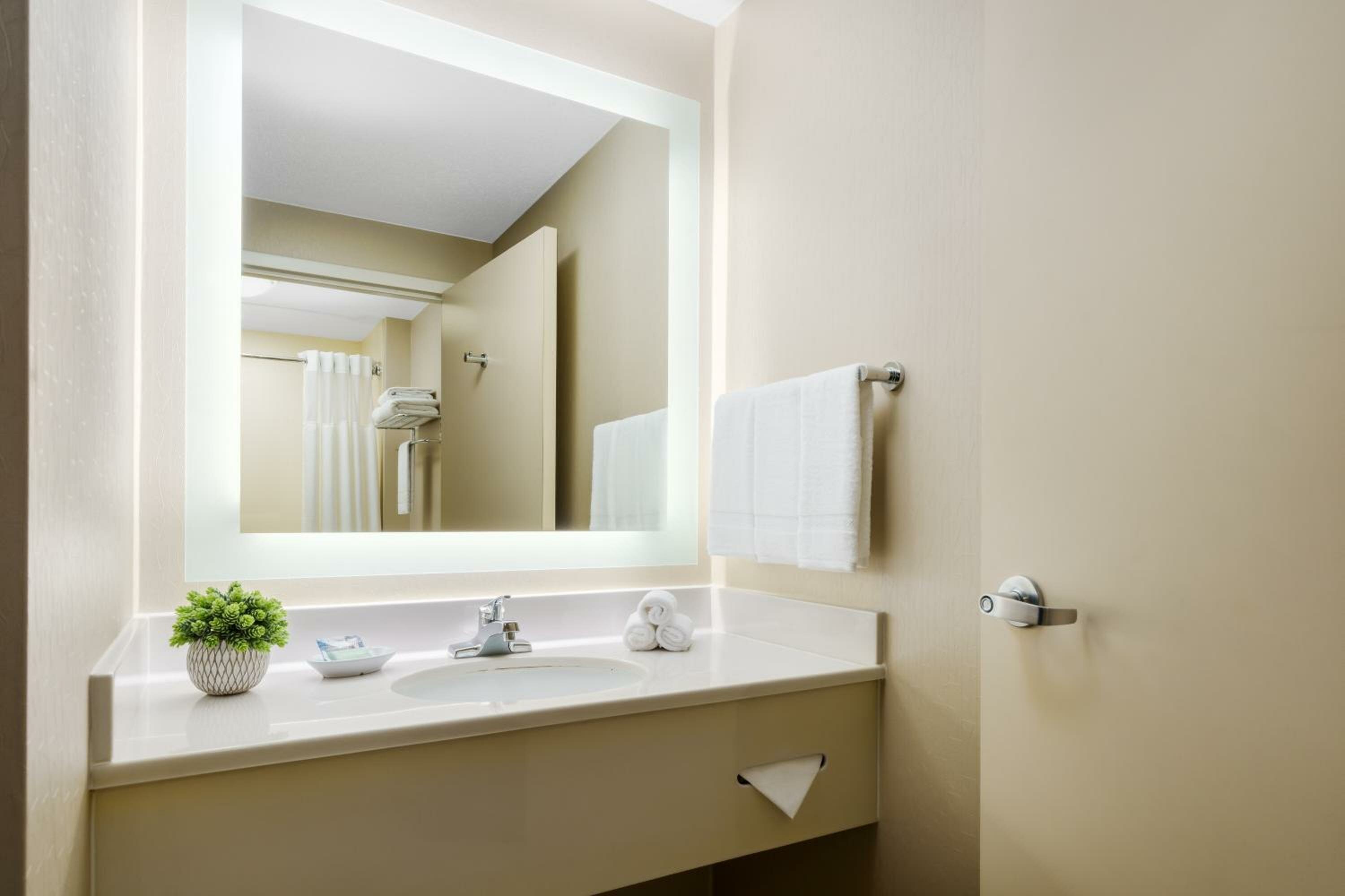 Executive Suite, 1 King, Sofa bed