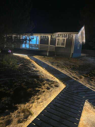 Дом с видом на лес