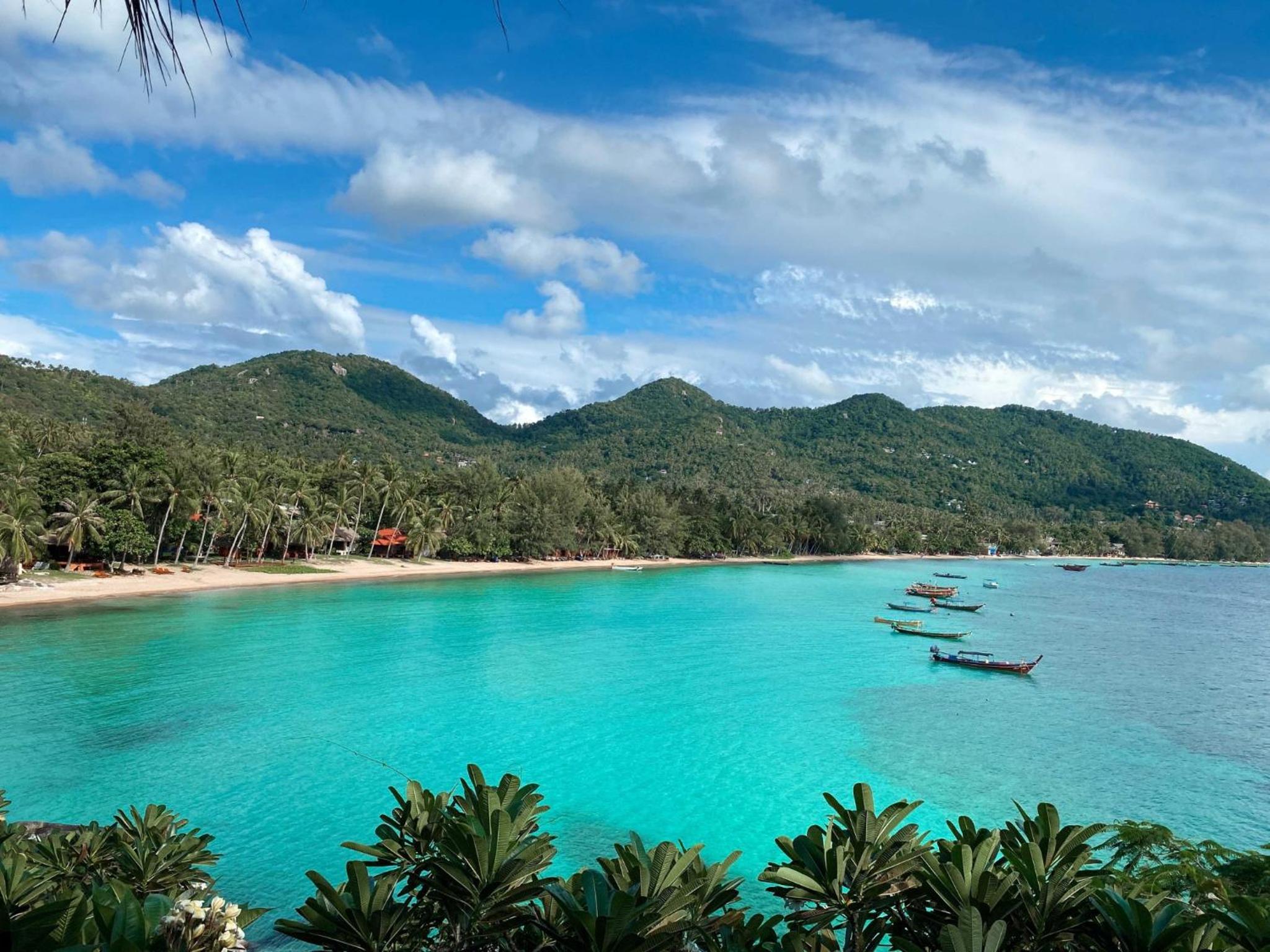 Deluxe Cottage Ocean View 