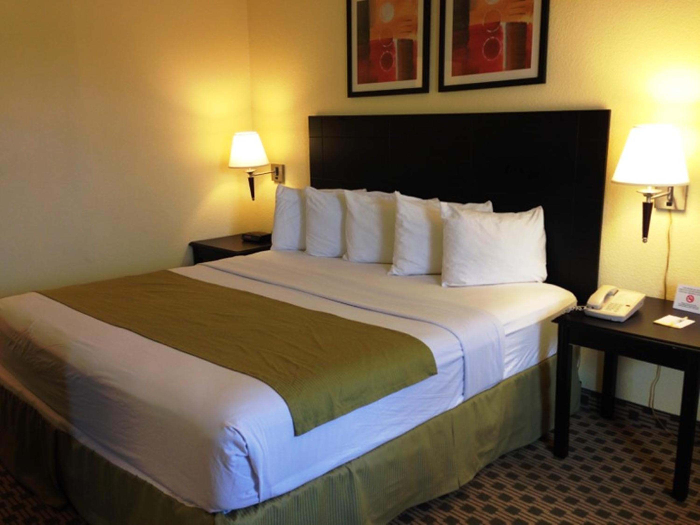 One-Bedroom Business King Suite - Non-Smoking