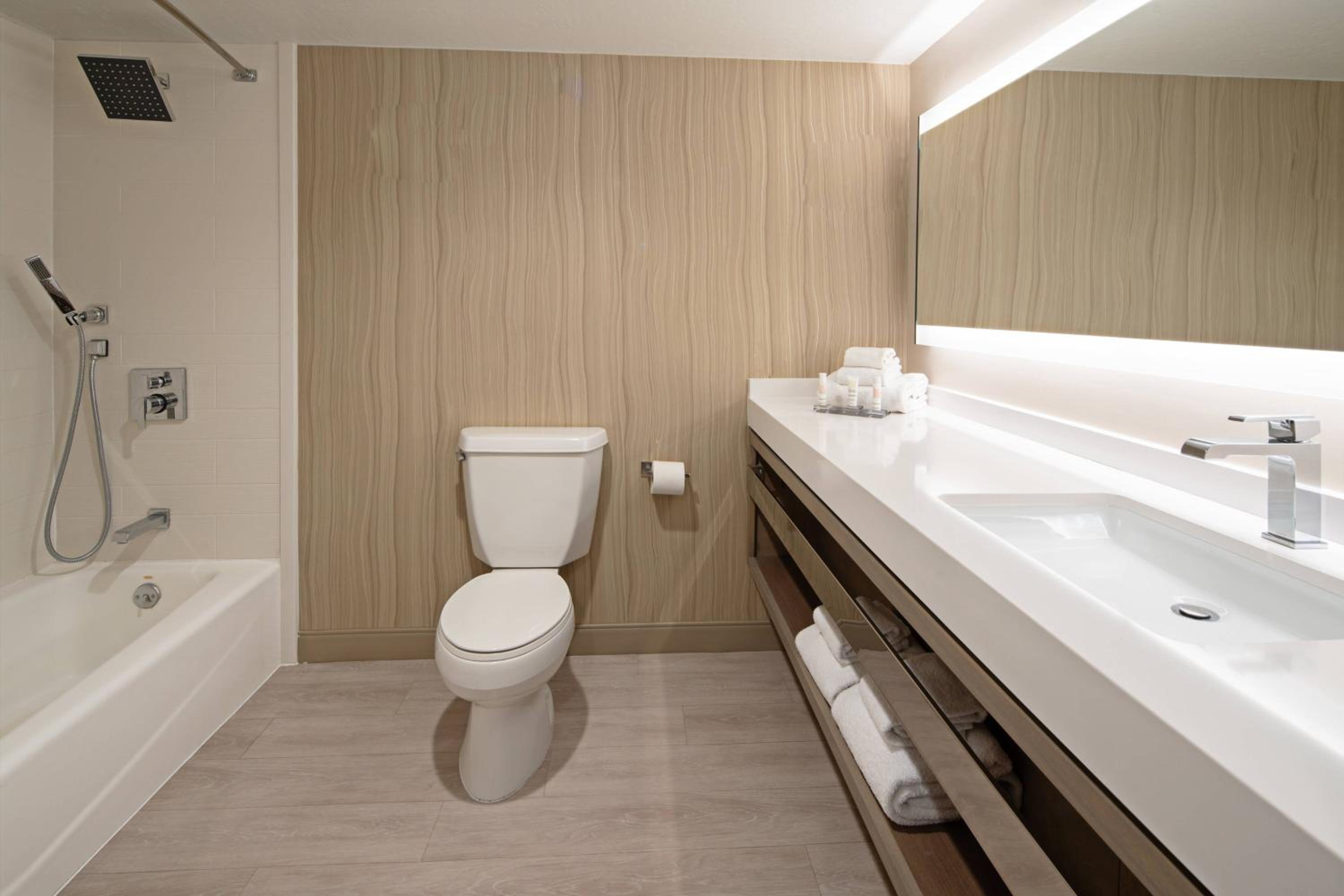 King Room with Sofa Bed