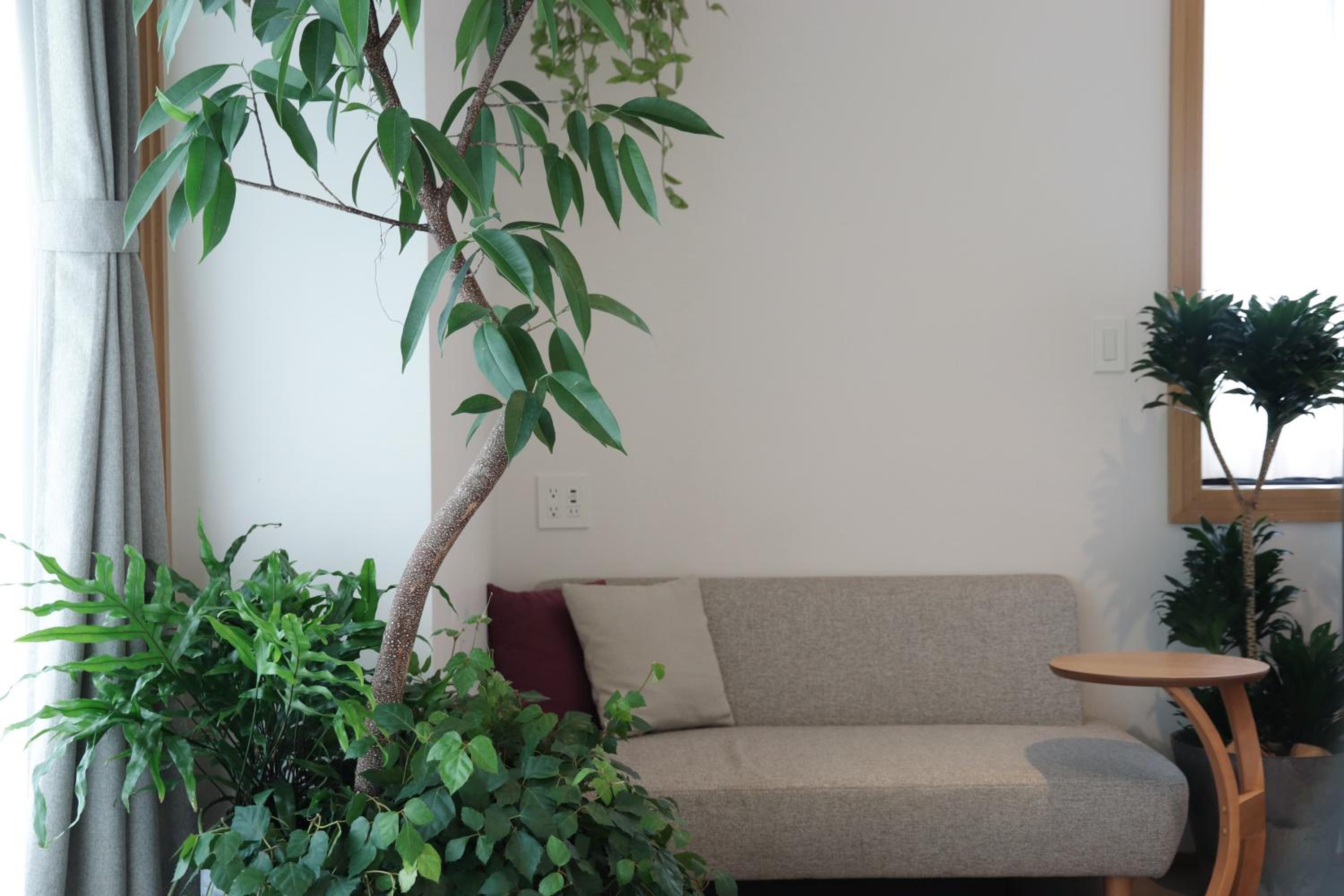 Botanical Room with Bunk Bed