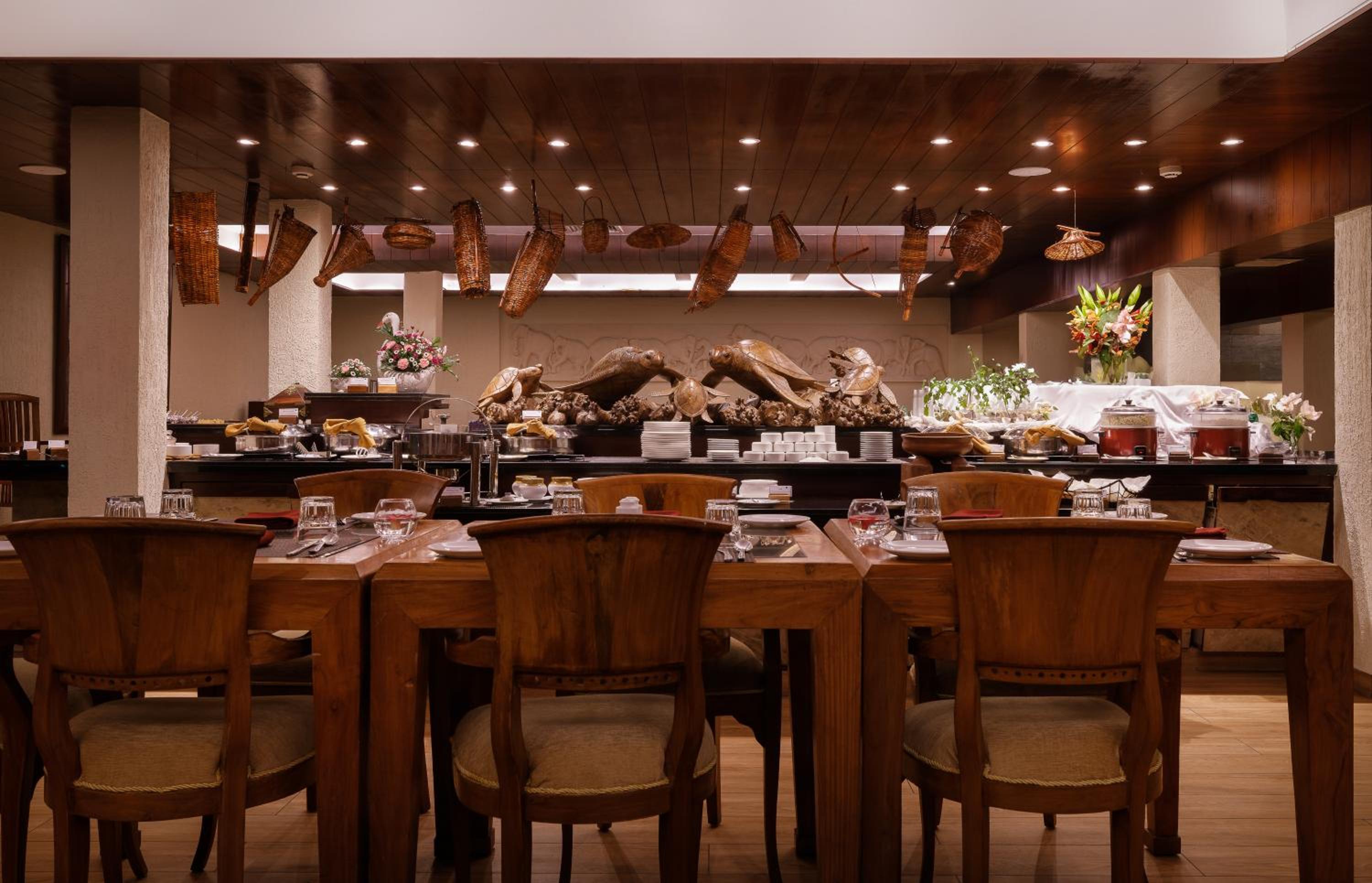 Turtle Signature Suite