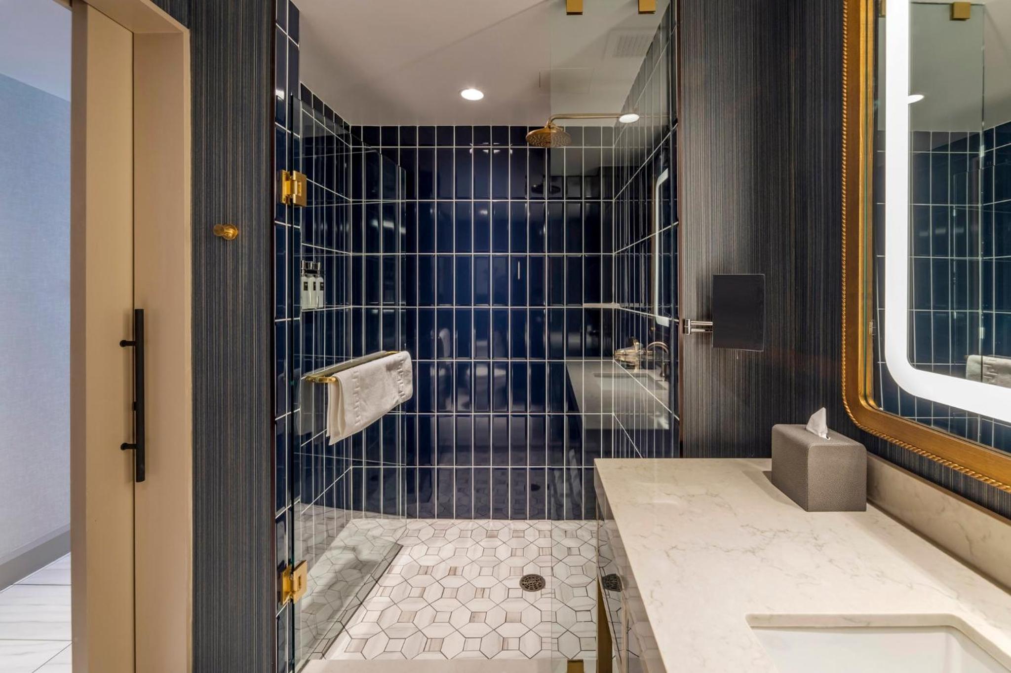 Premier Room  1 King Bed