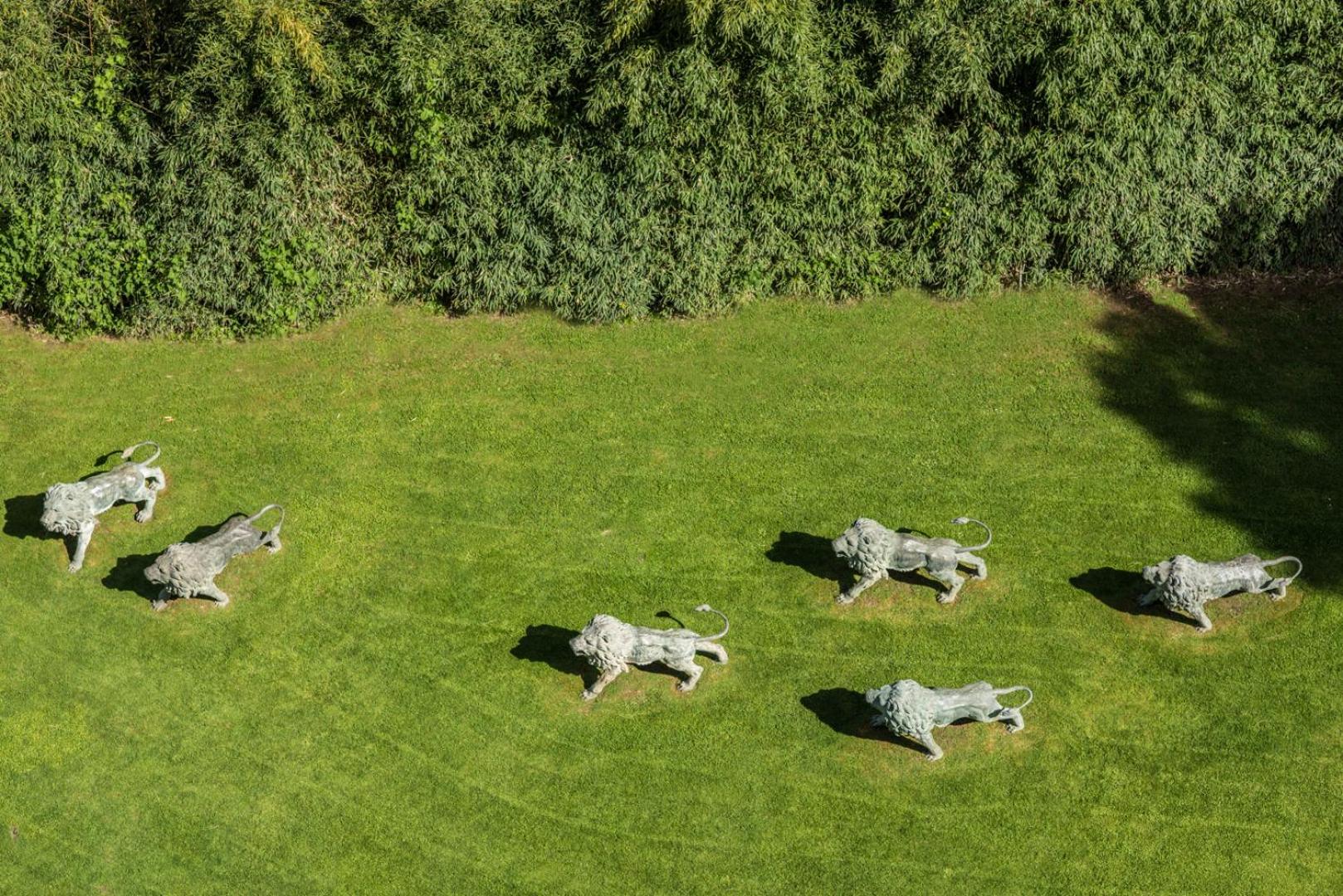 Deluxe King Room with Park View