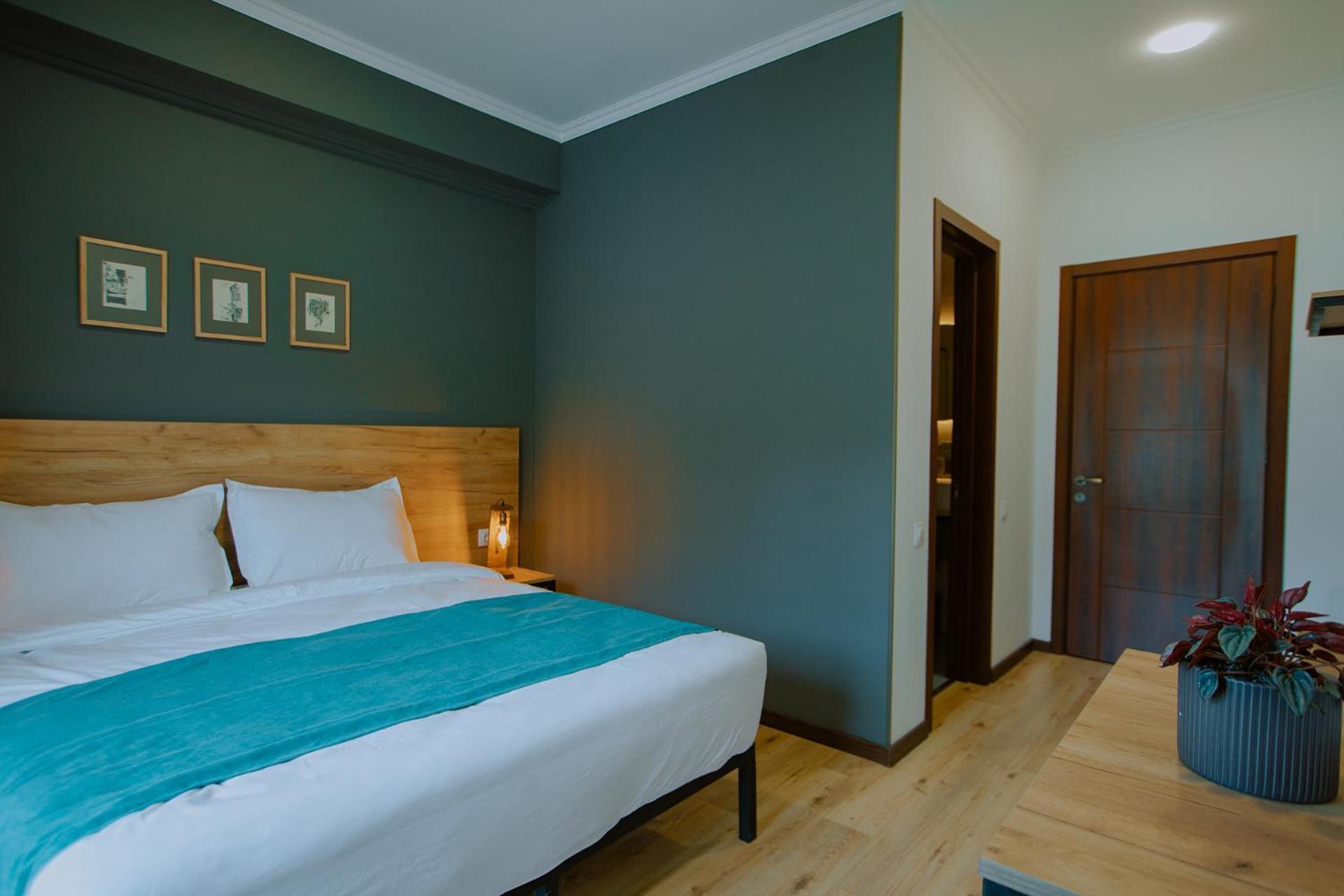 Double Room with Back Mountain View 