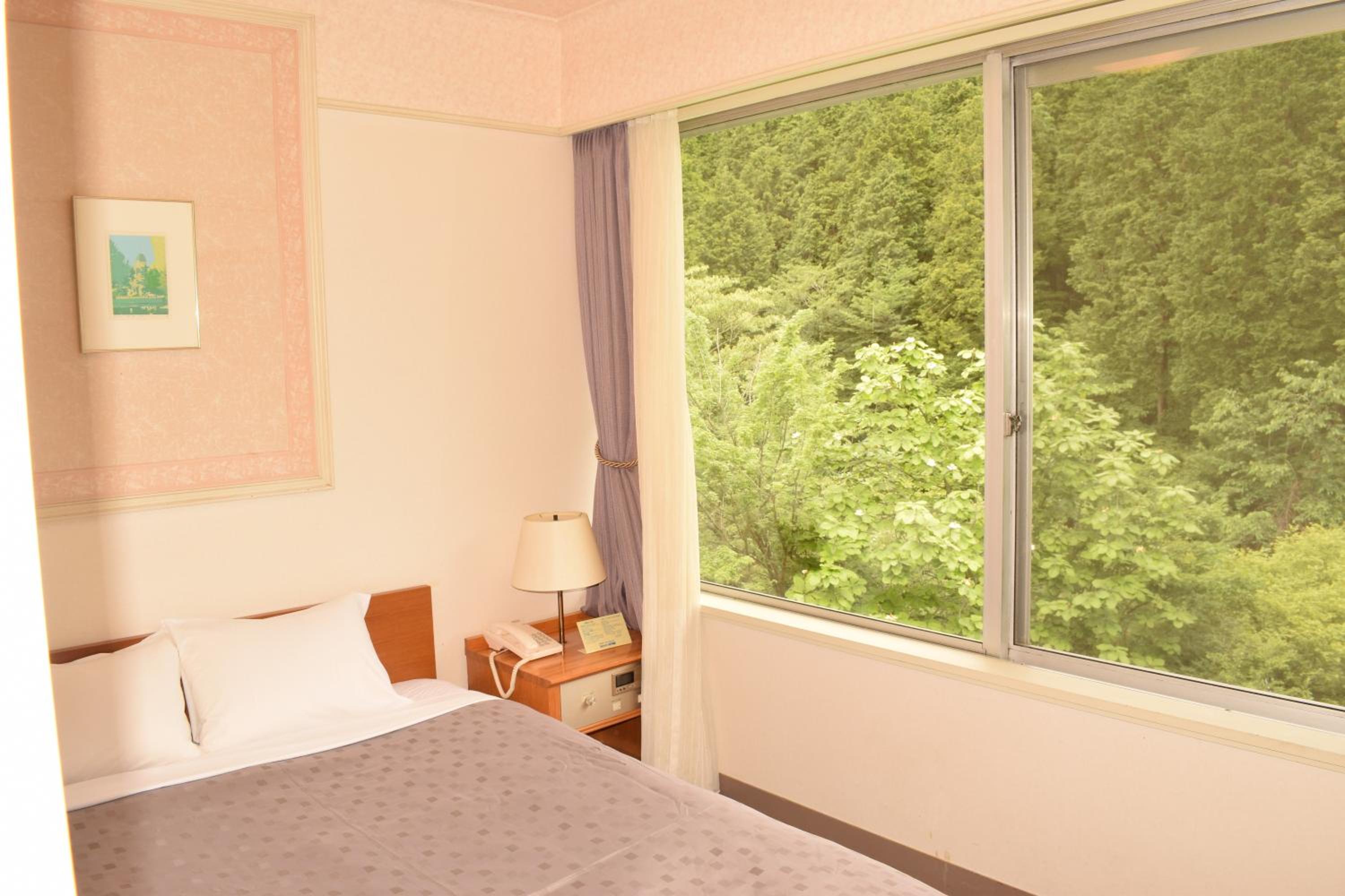Economy Double Room - Non-Smoking