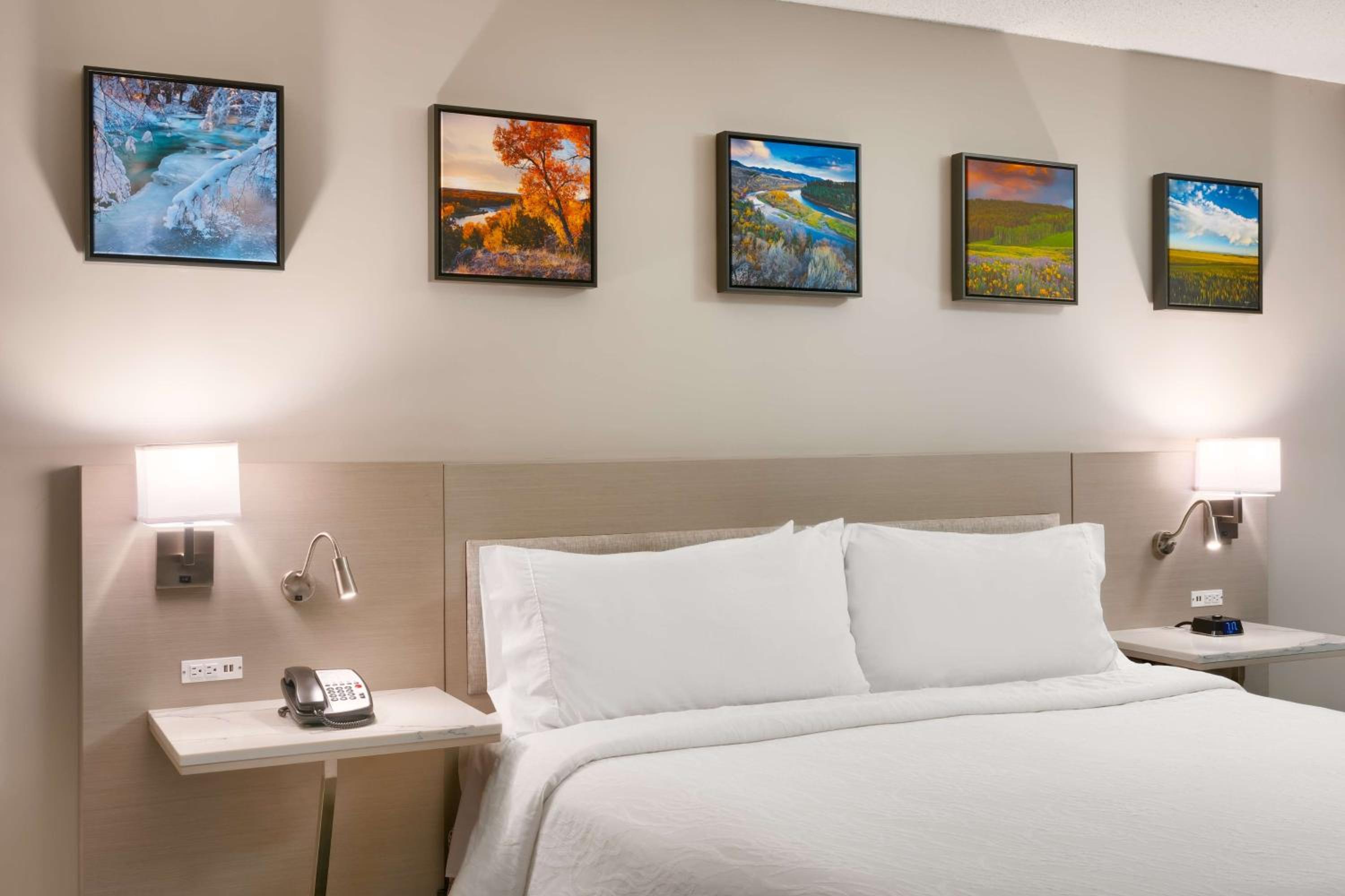 King Room with Roll-In Shower - Mobility Access