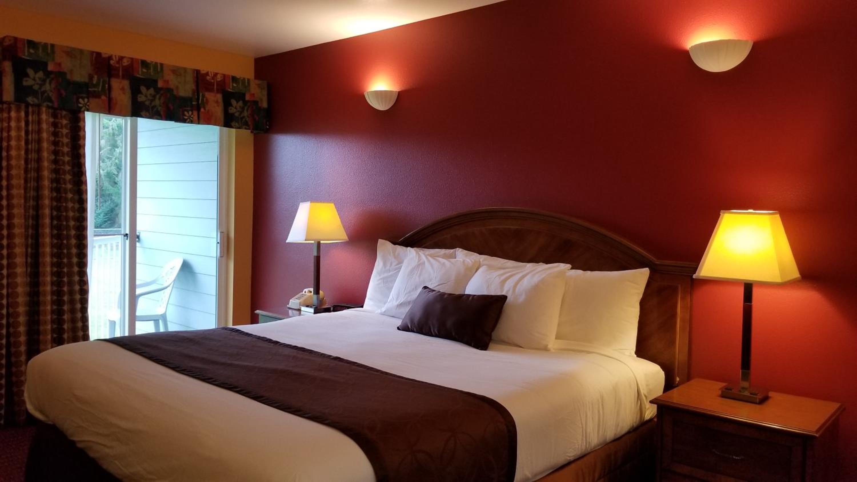 One King Deluxe with Sofa Bed - No Pets Allowed