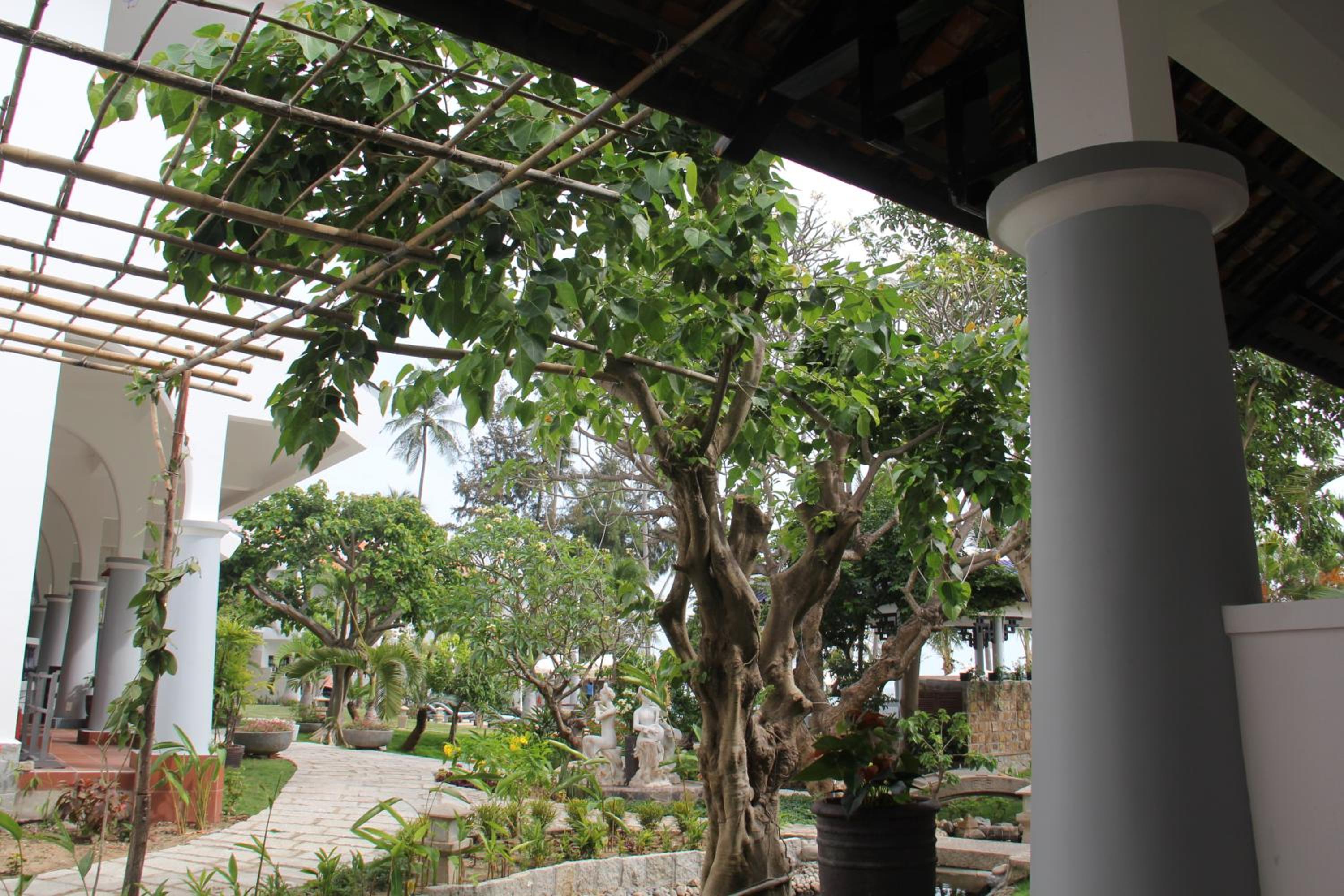 Superior Double or Twin Room with Garden View