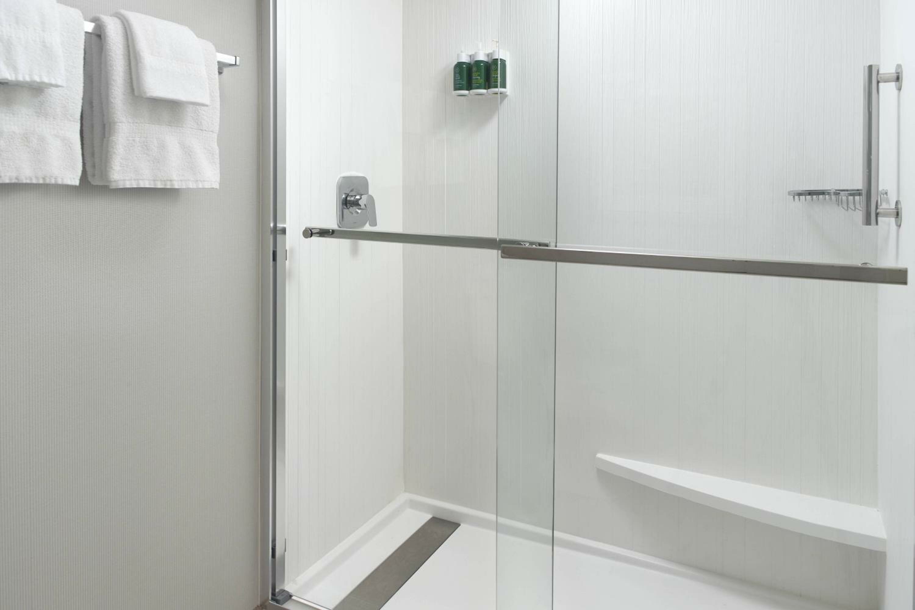 1 Bedroom Larger Suite, 1 King, Sofa bed, Corner room