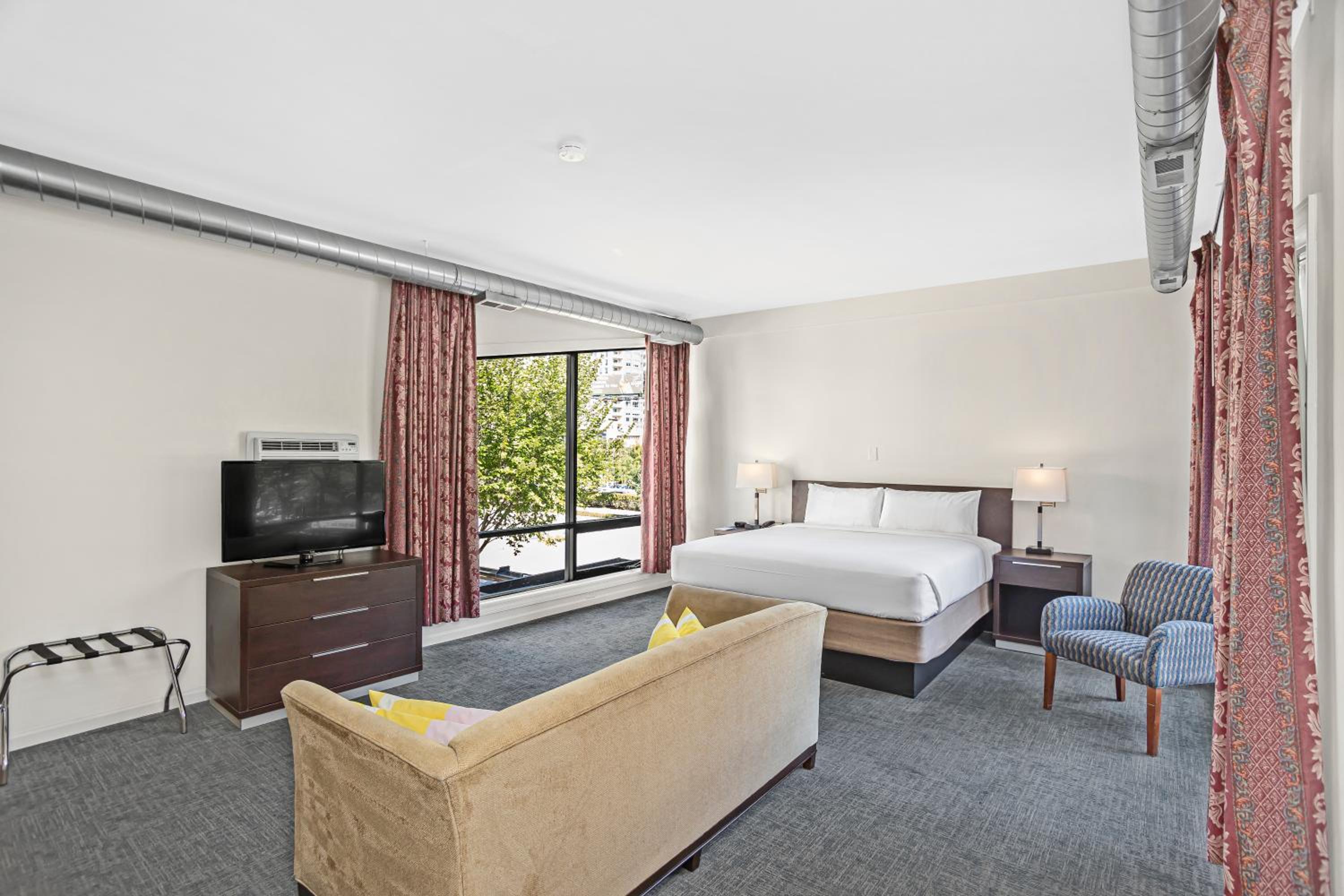  King Suite with Sofa Bed - Non-Smoking