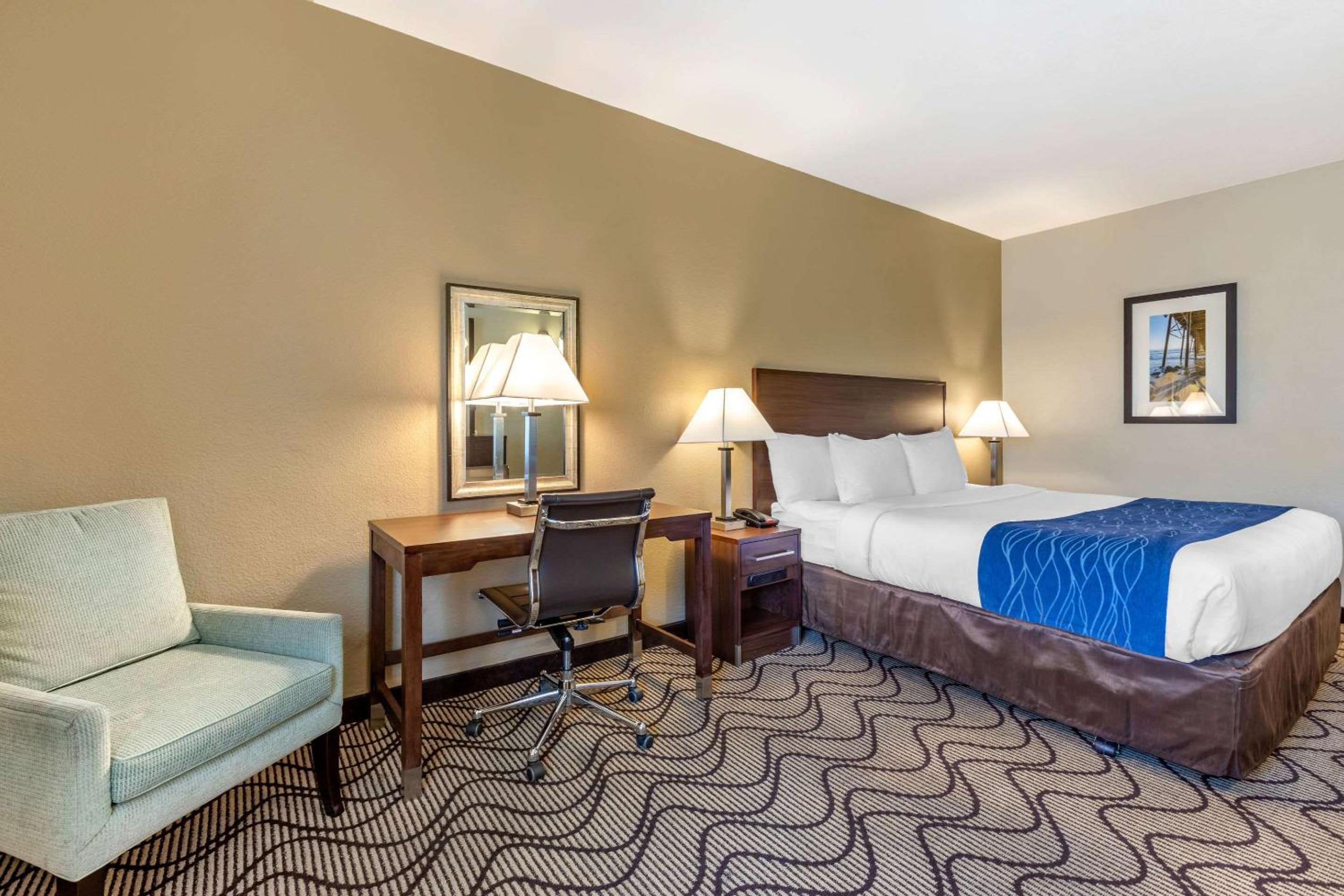 Standard Room, 1 King Bed, Accessible Roll-In Shower, Non Smoking