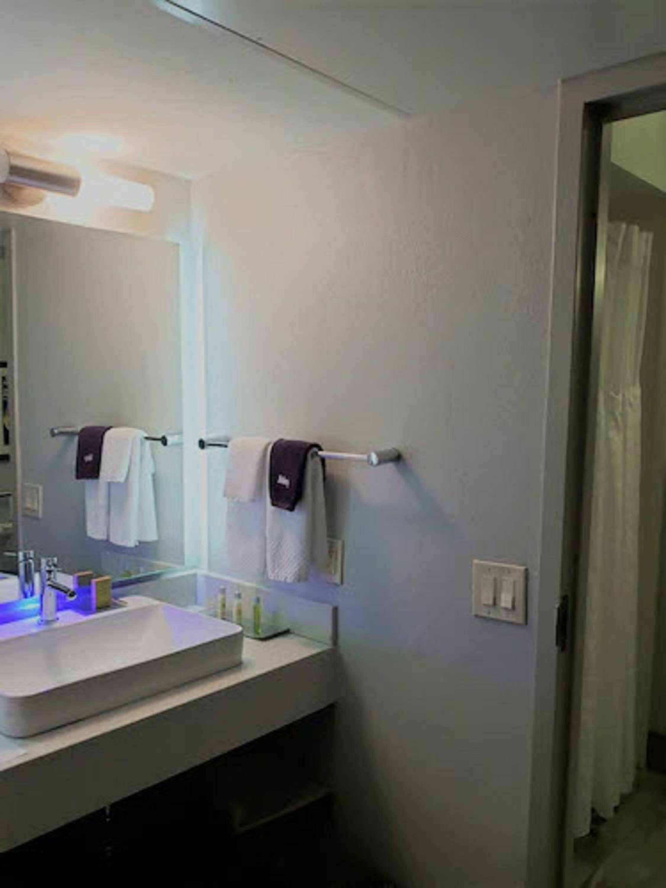 Junior King Suite with Sofa Bed