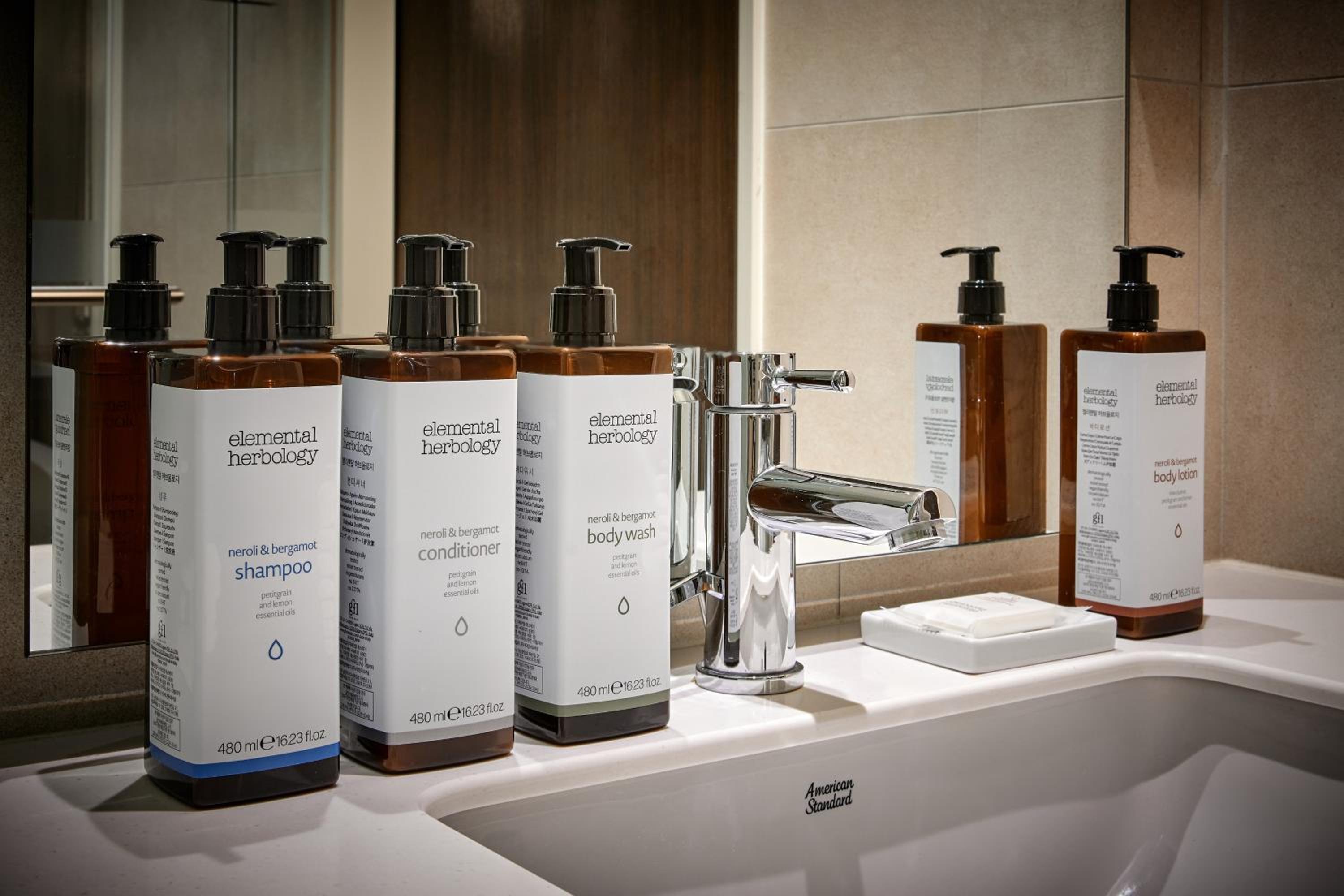 Standard Double Room with Ocean View